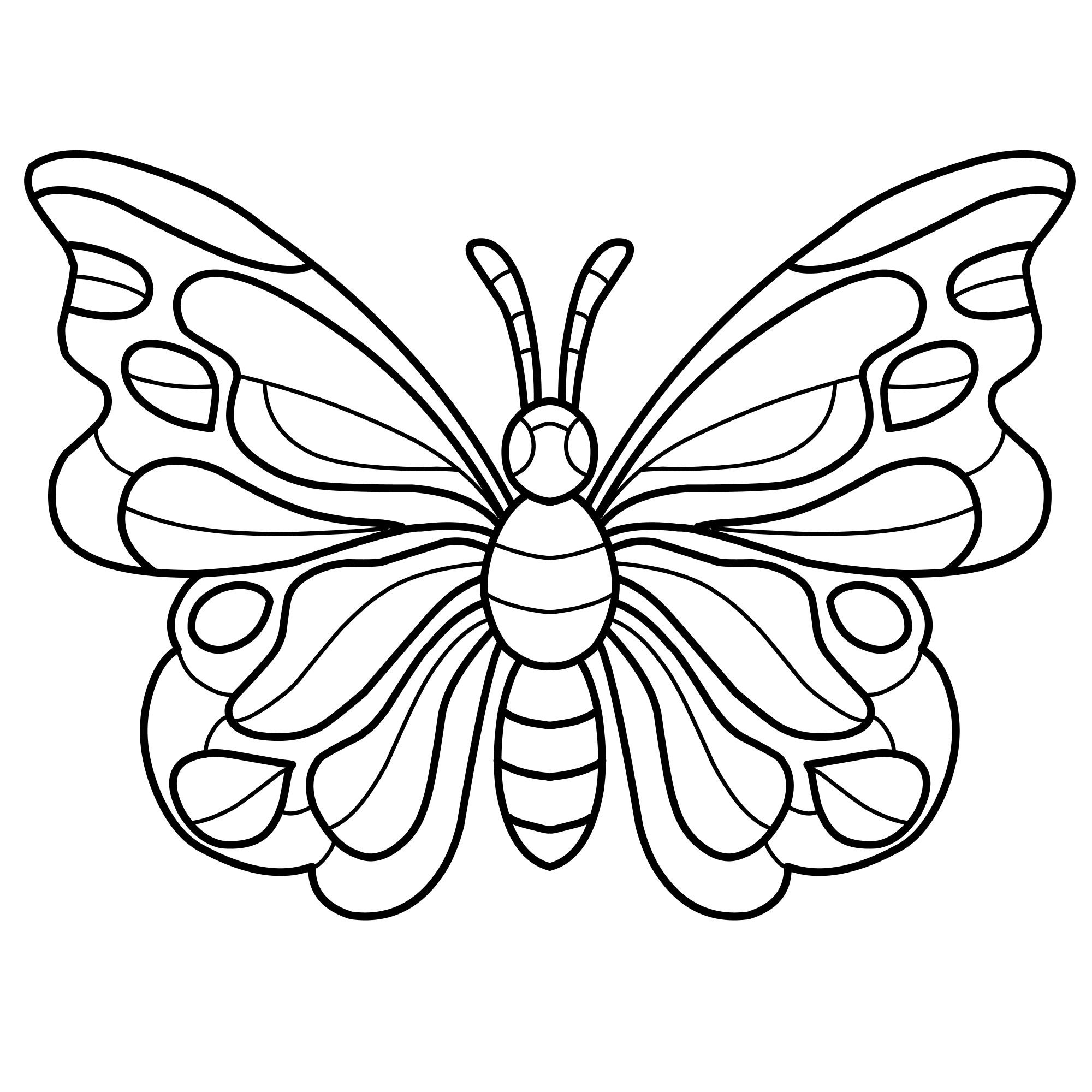 Раскраска для детей: бабочка с узорчатыми крыльями