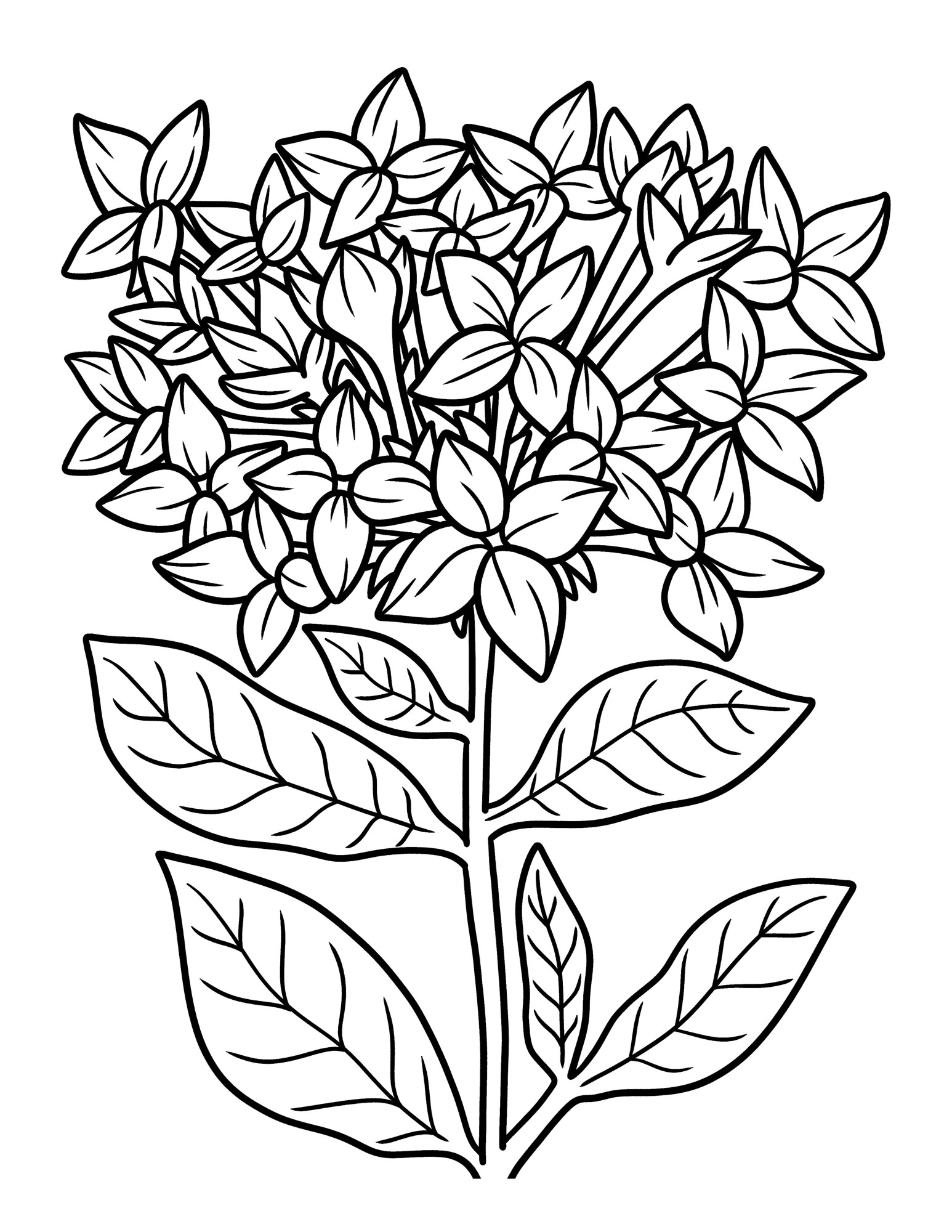 Раскраска для детей: цветок со стеблем