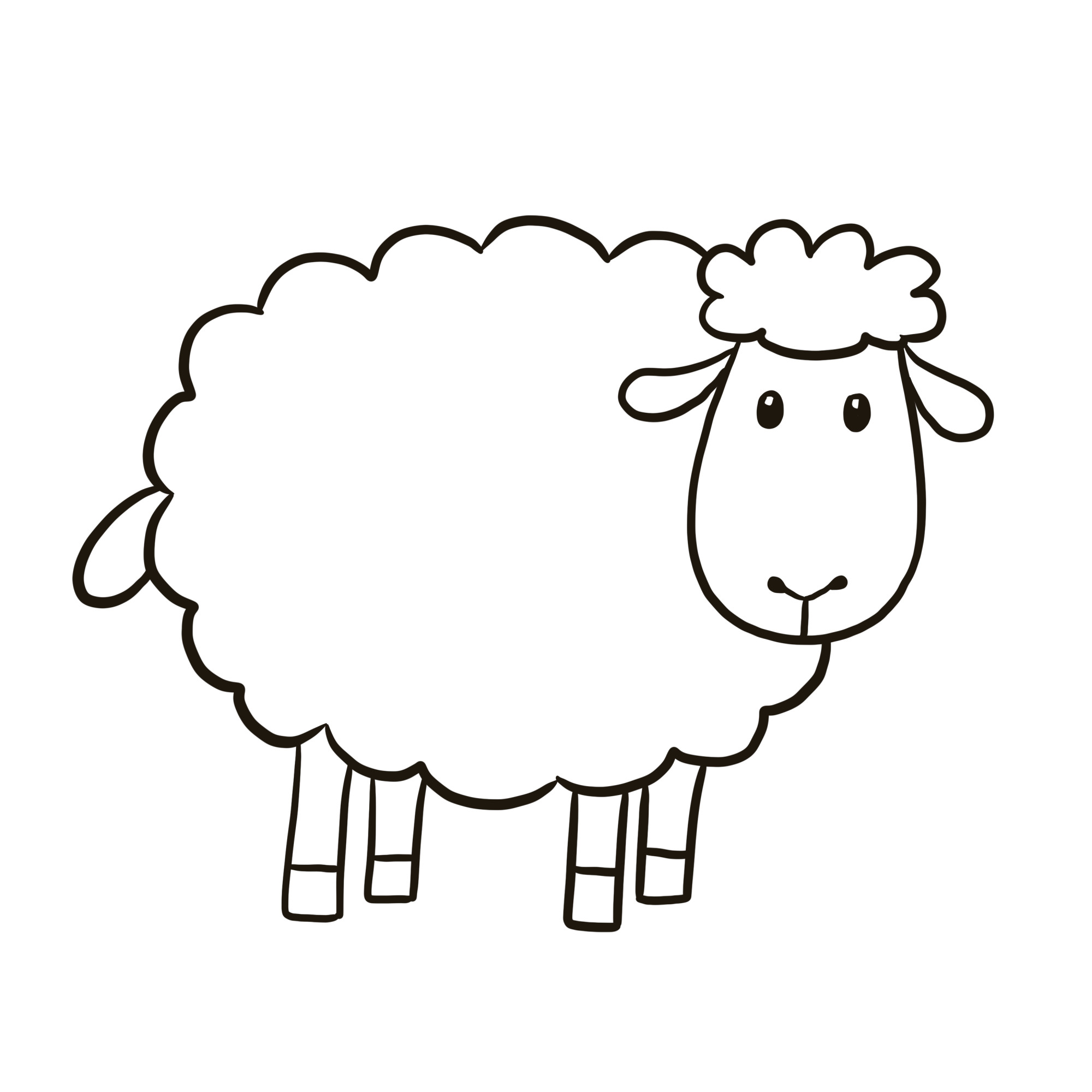 Раскраска для детей: овца из мультфильма