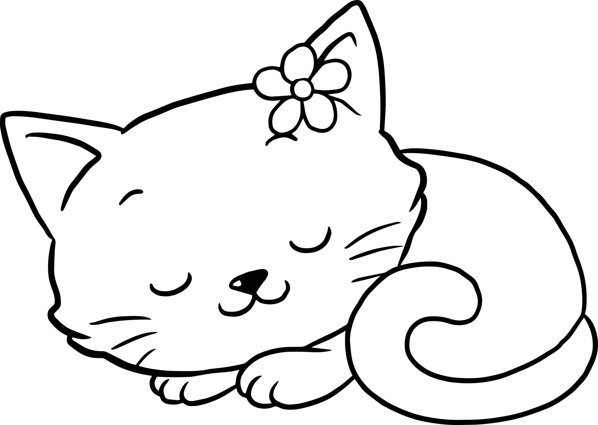 Раскраска для детей: спящая маленькая кошечка с цветком на голове