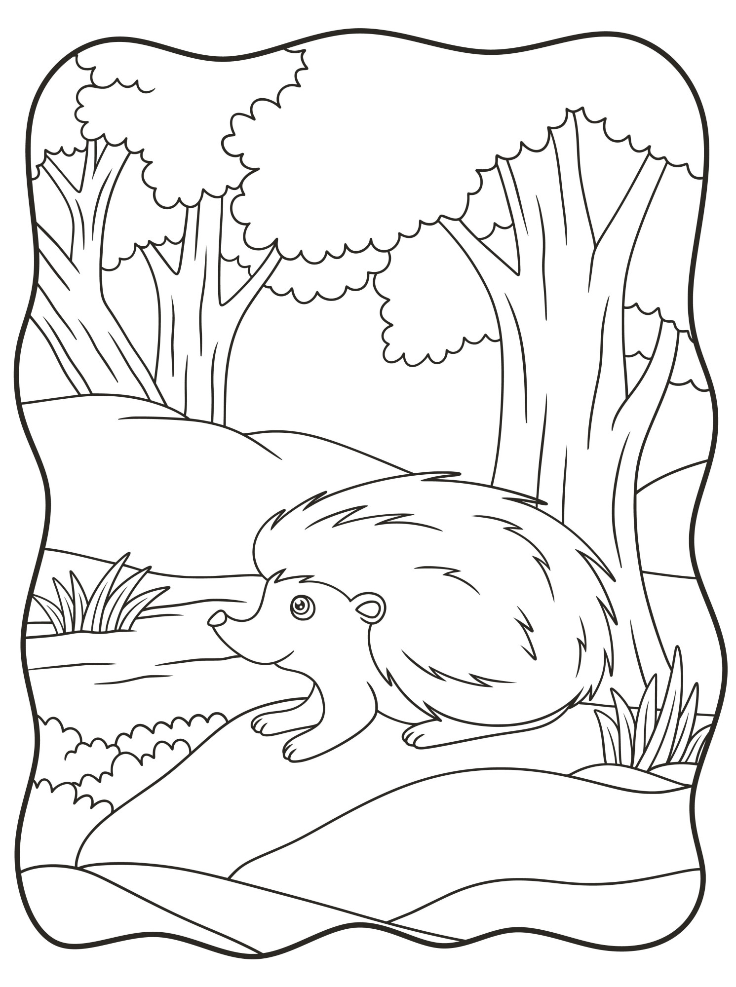 Раскраска для детей: ёжик из мультфильма на фоне леса