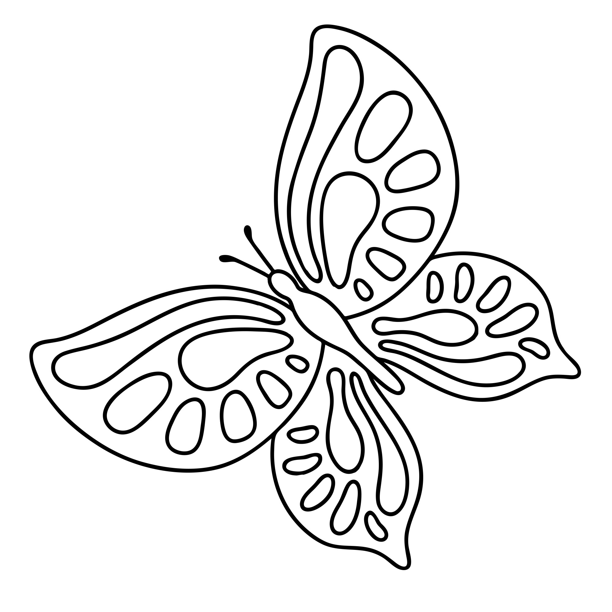 Раскраска для детей: бабочка в полете