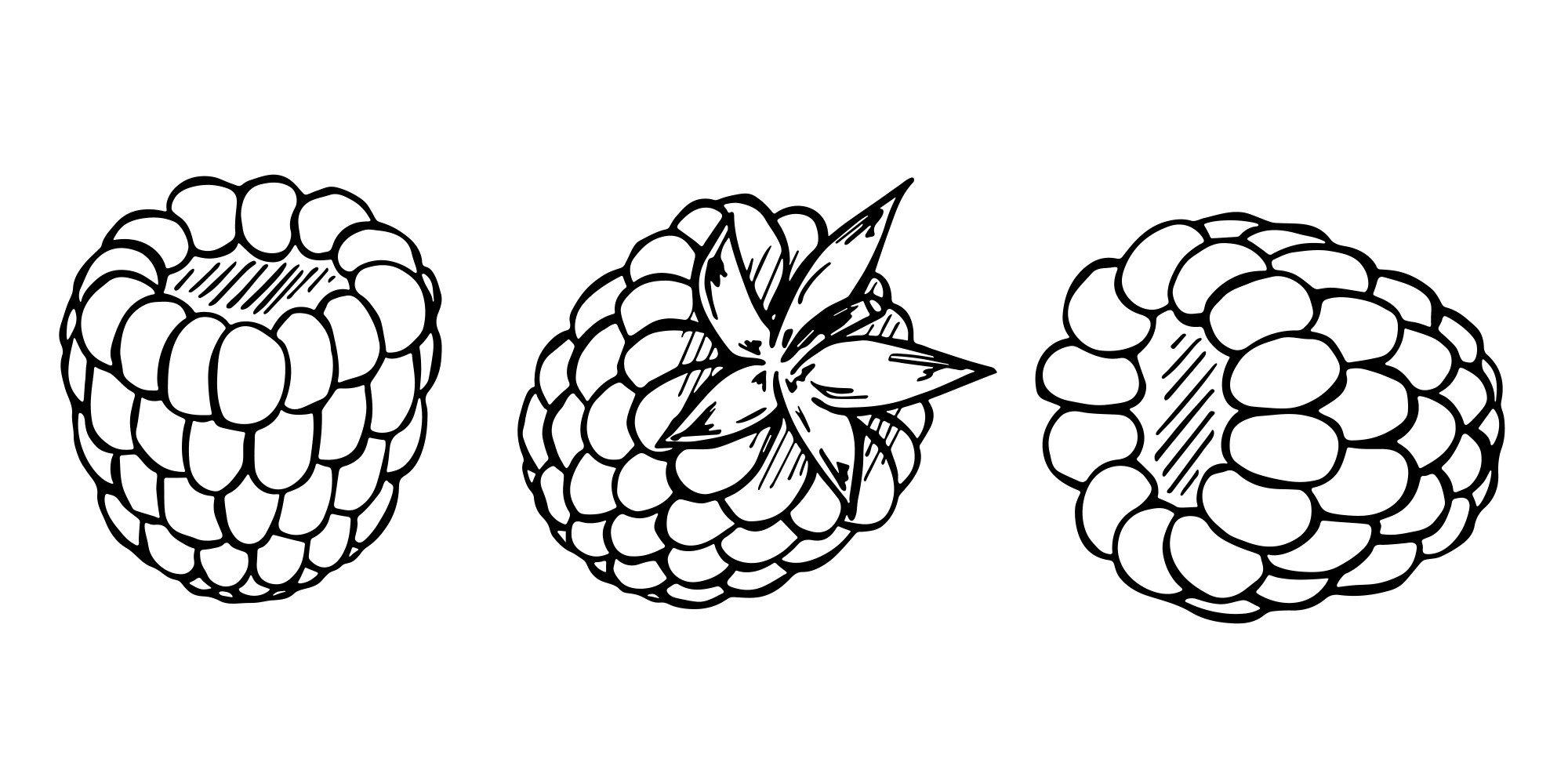 Раскраска для детей: ягоды малина