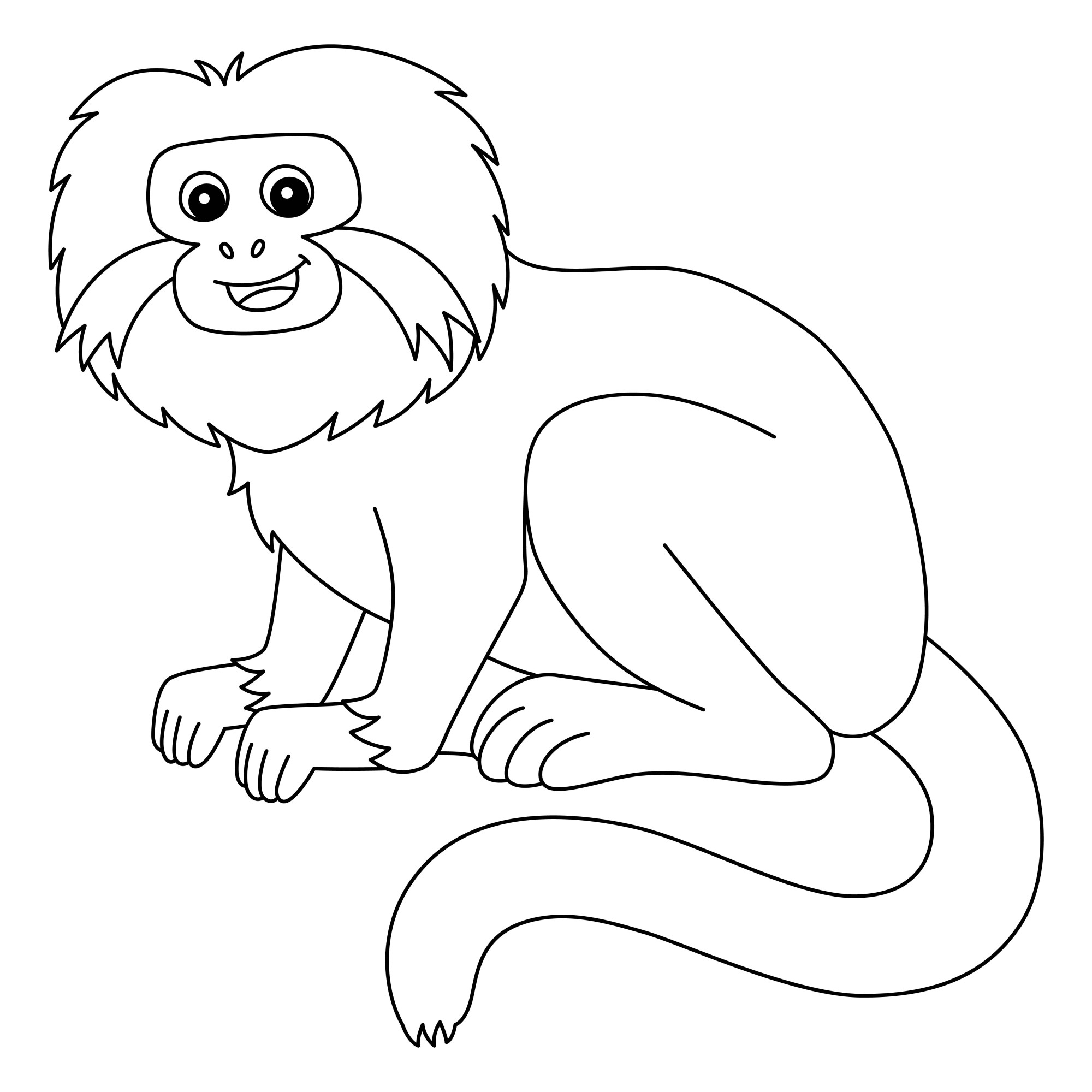 Раскраска для детей: обезьянка макака с пушистой мордочкой