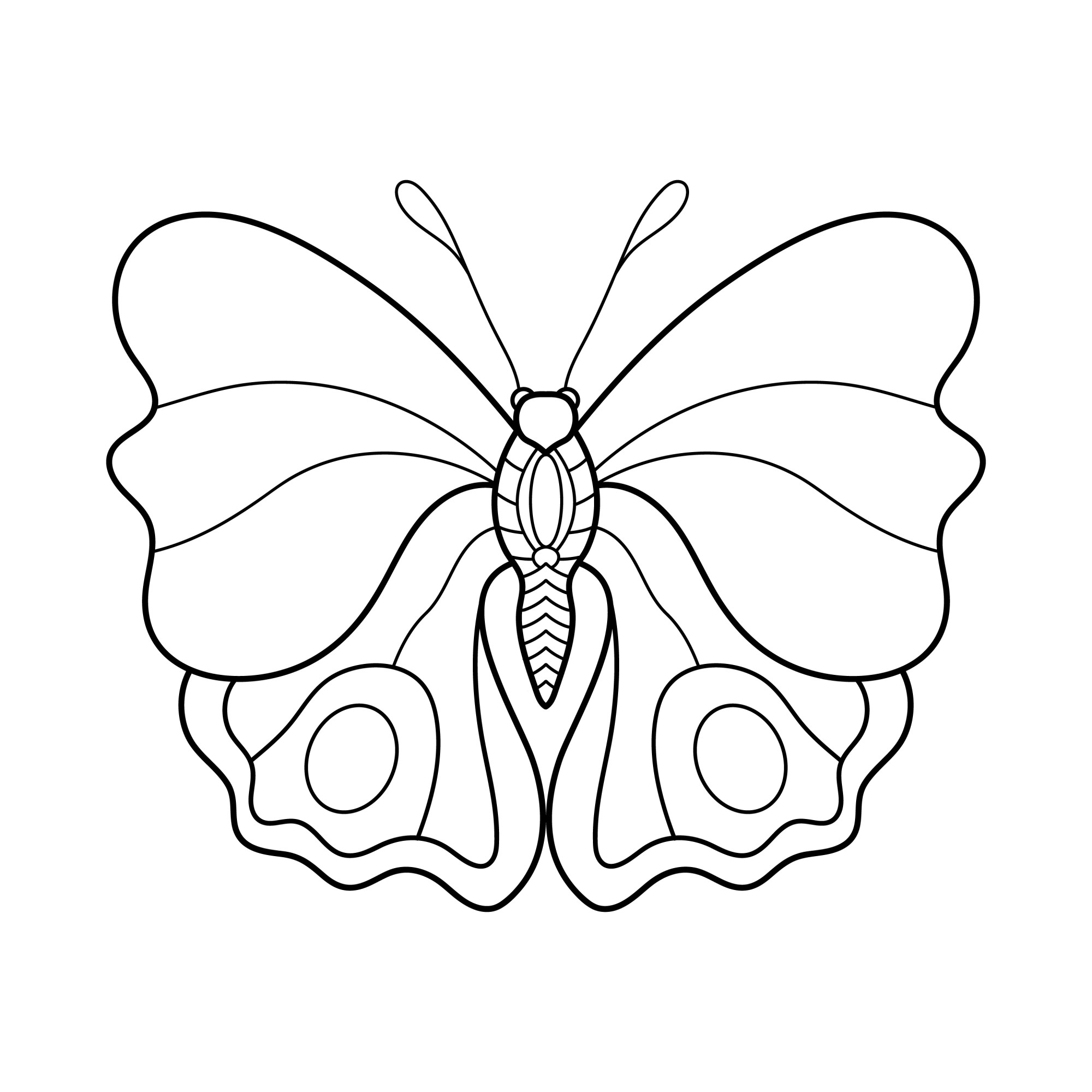 Раскраска для детей: бабочка капустница