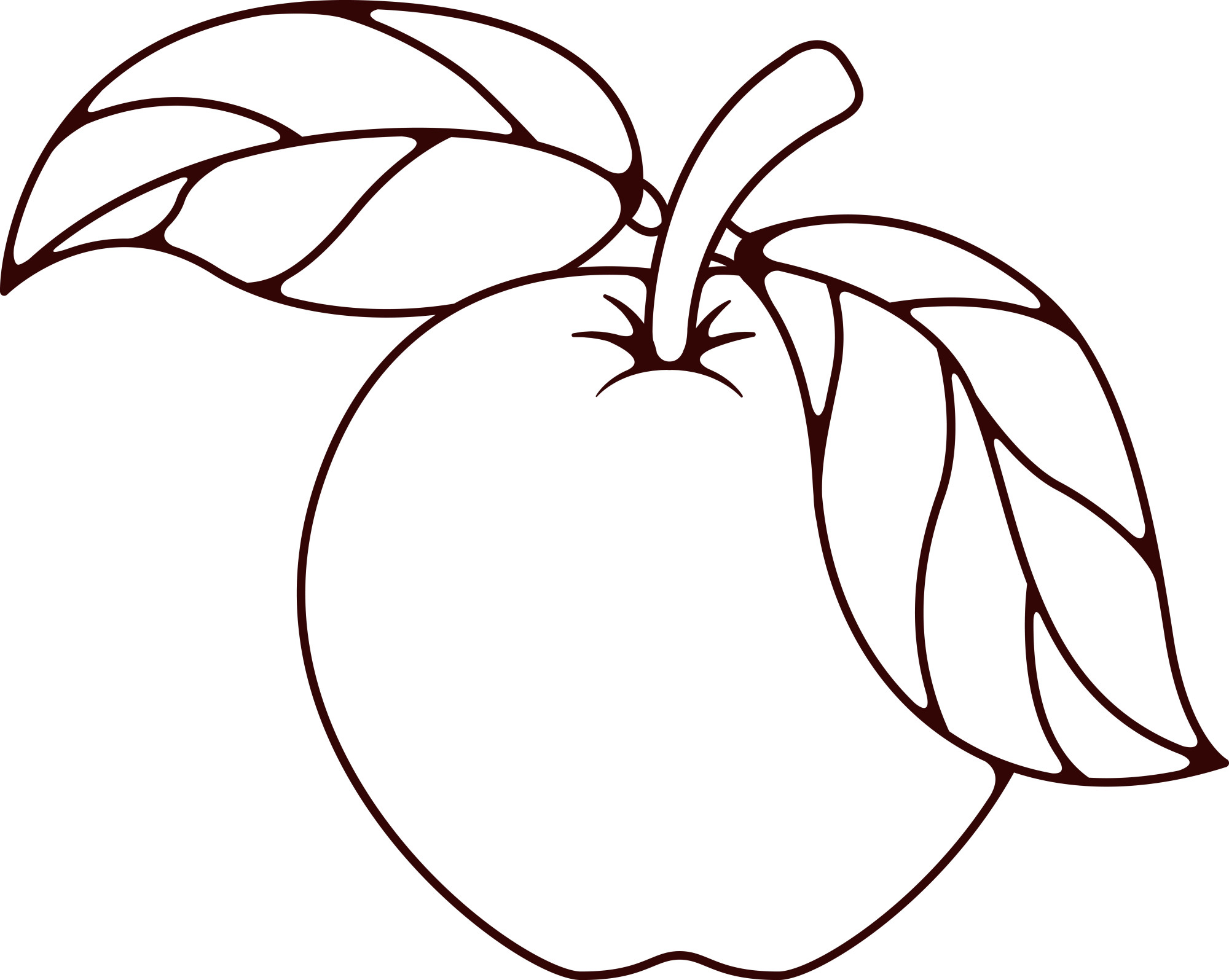 Раскраска для детей: красивое яблоко с большими листиками на ветке