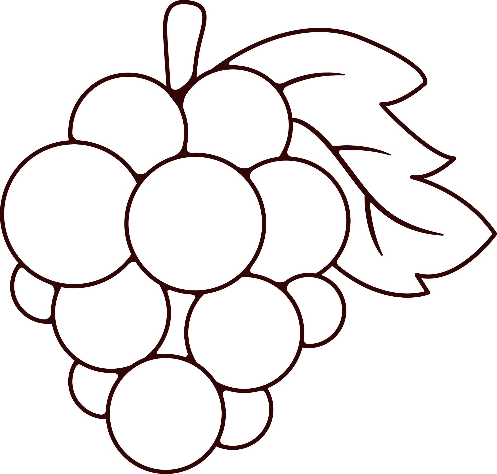Раскраска для детей: веточка винограда с листочком