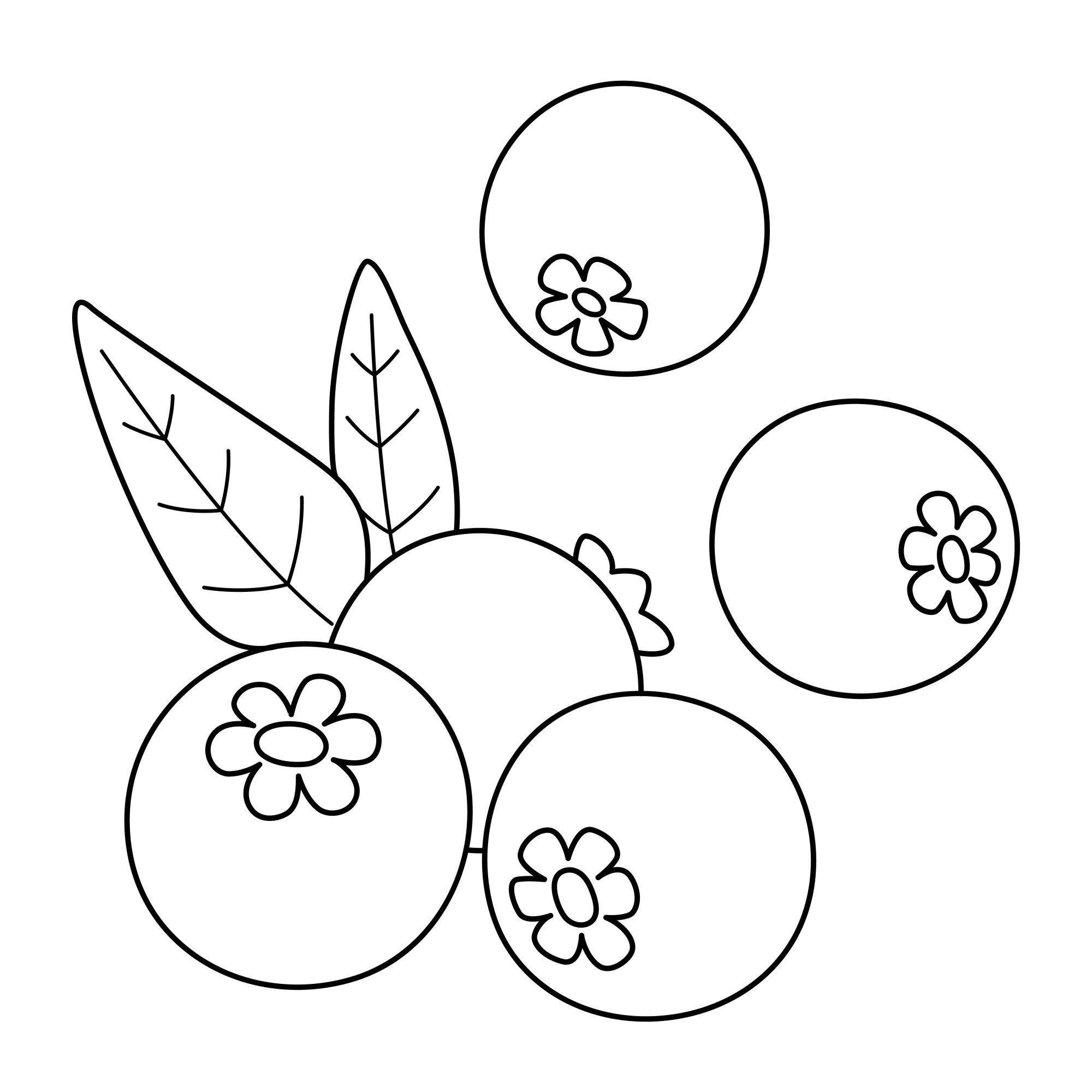 Раскраска для детей: ягоды спелой черники