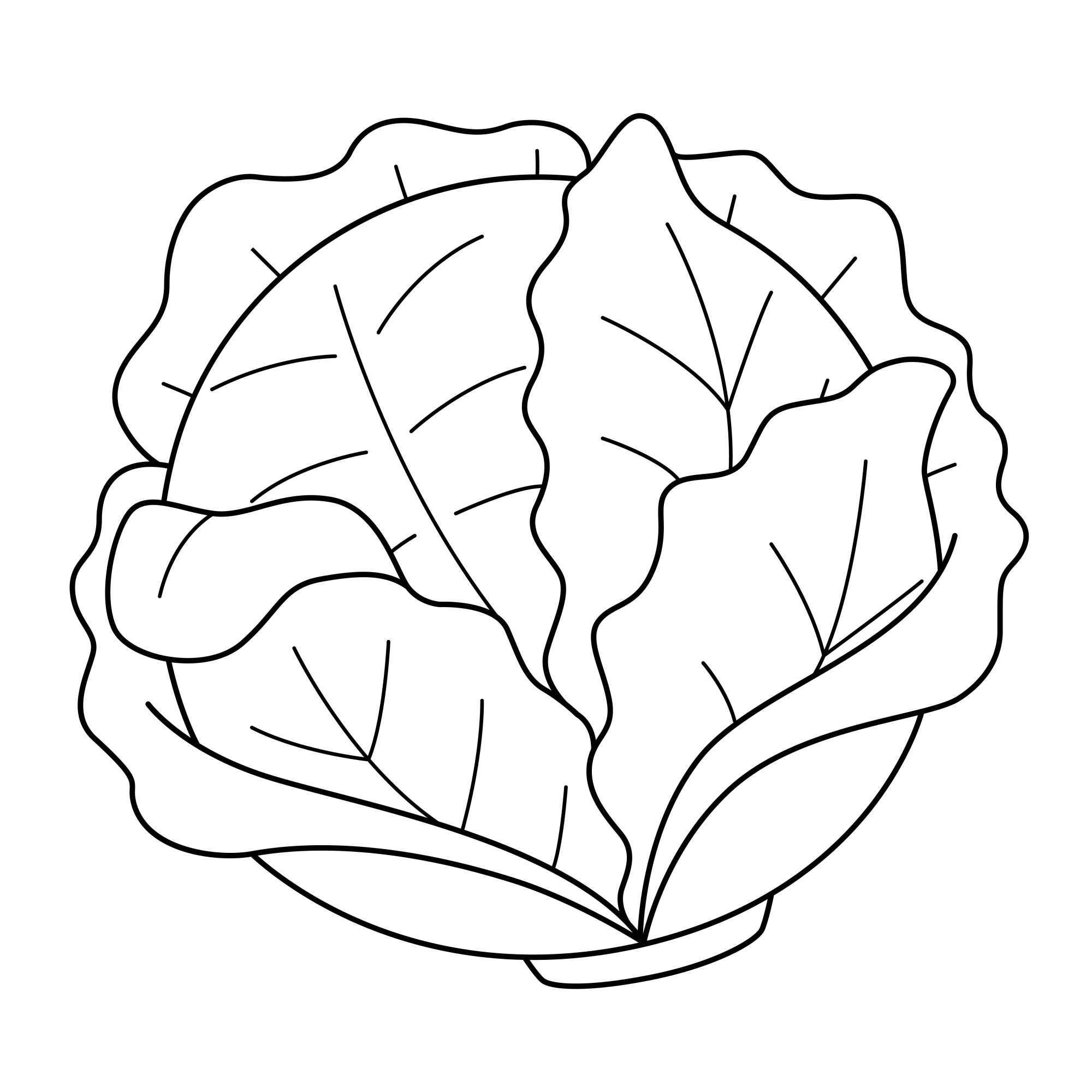 Раскраска для детей: капуста с красивыми листьями