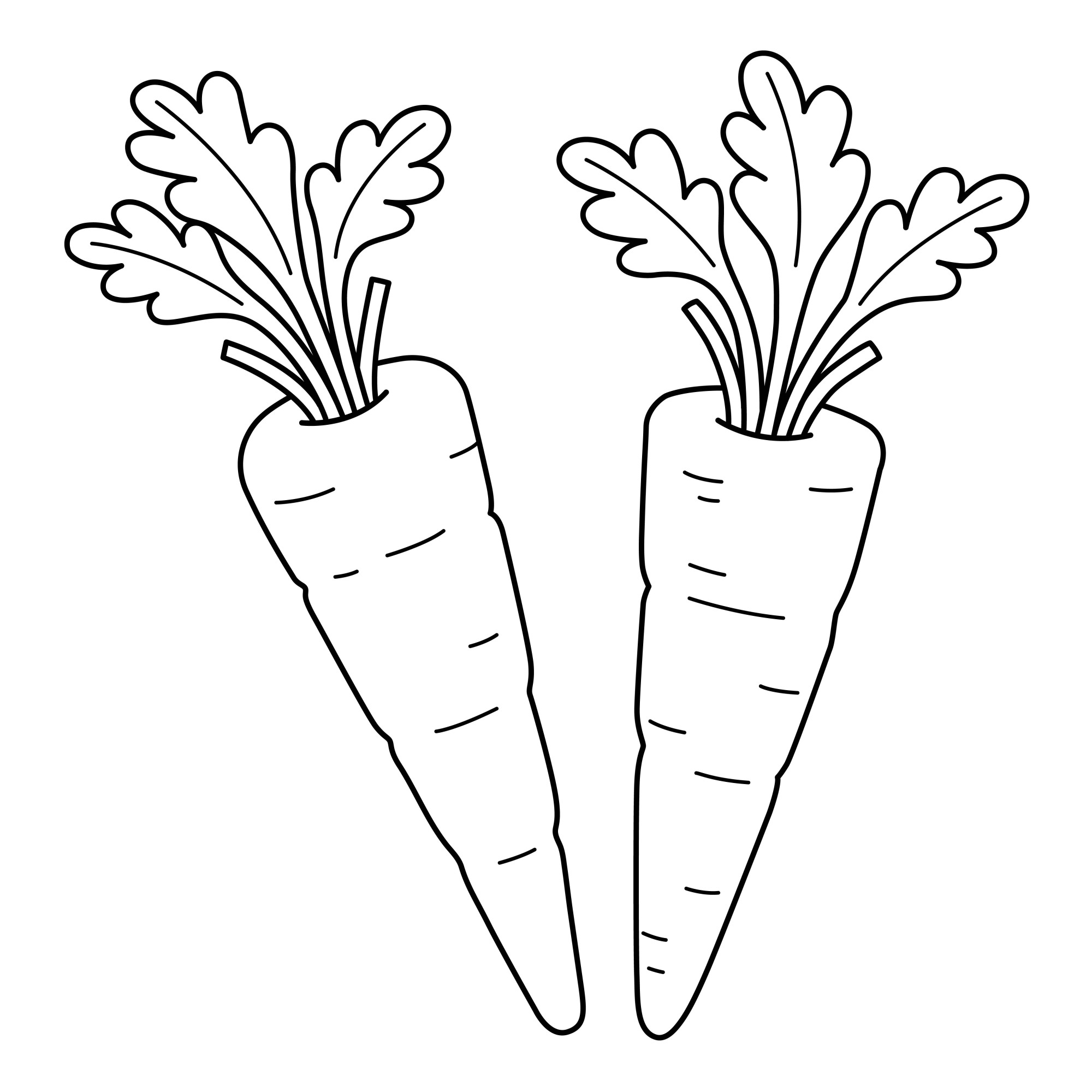 Раскраска для детей: две витаминные морковки