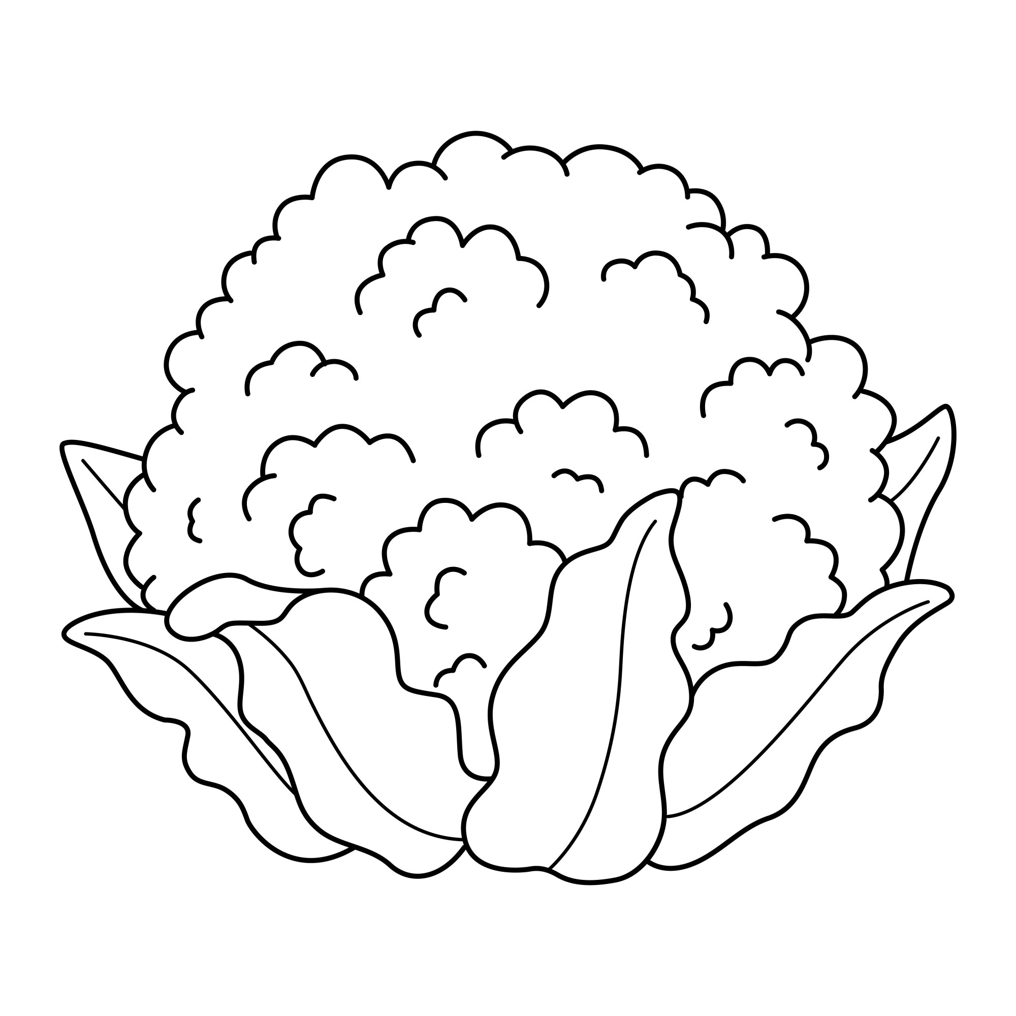 Раскраска для детей: кочан цветной капусты с листьями