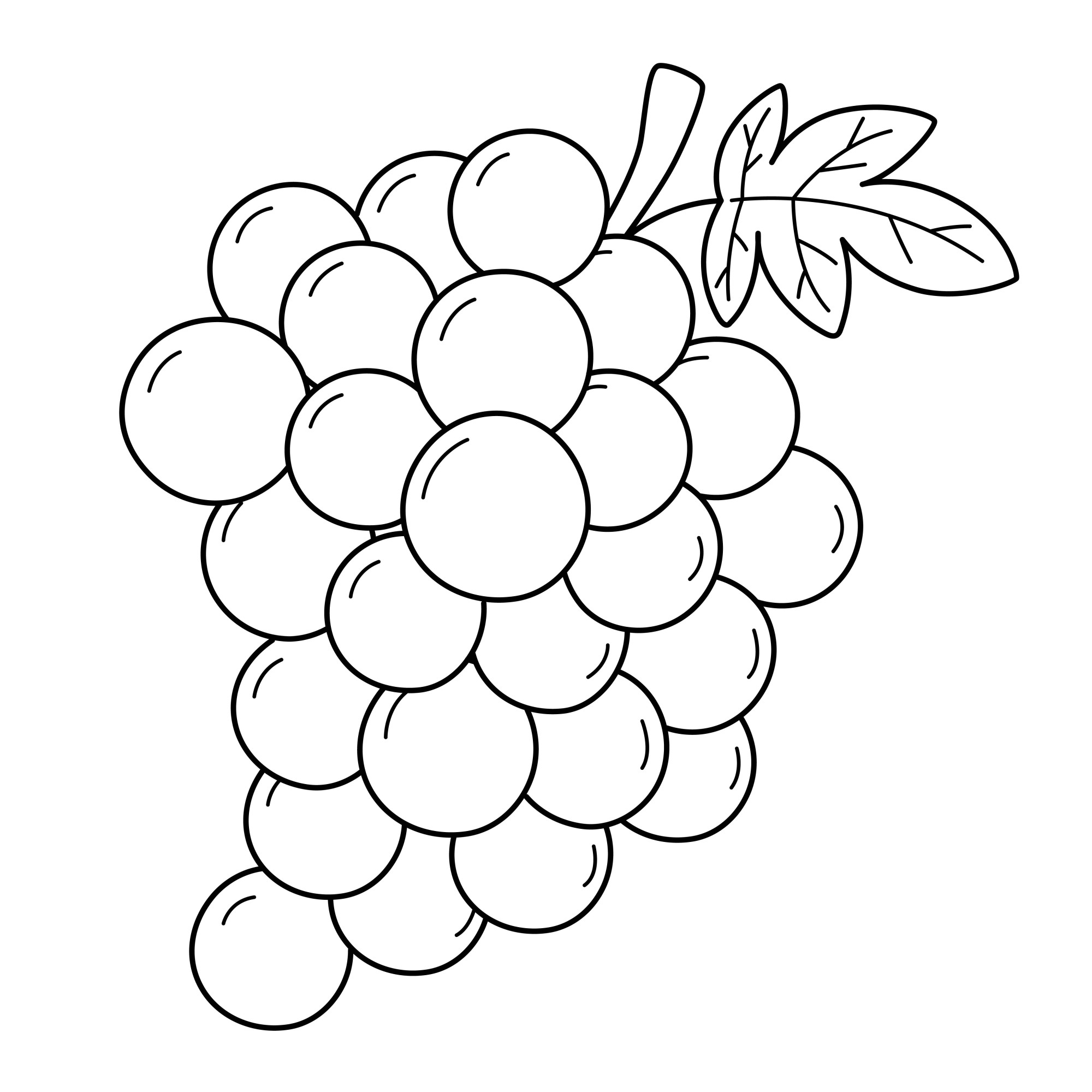 Раскраска для детей: гроздь сладкого винограда с листиком