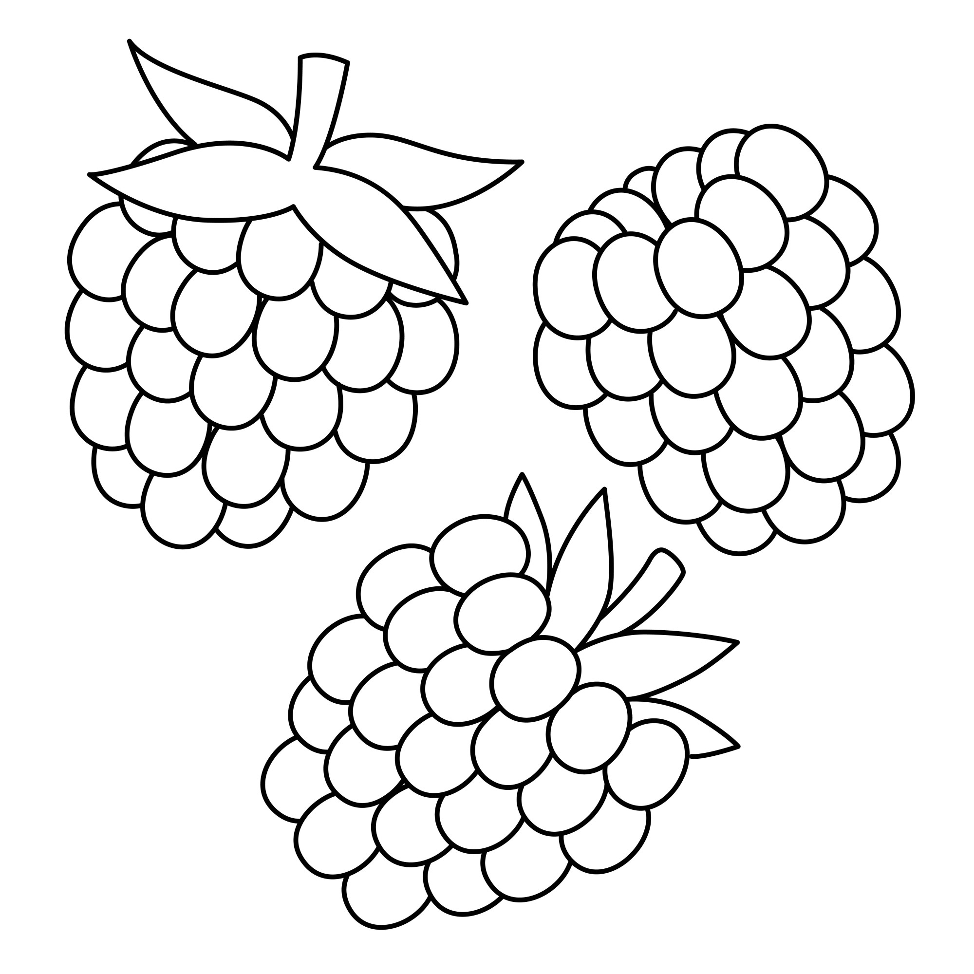 Раскраска для детей: три ягоды ароматной малины
