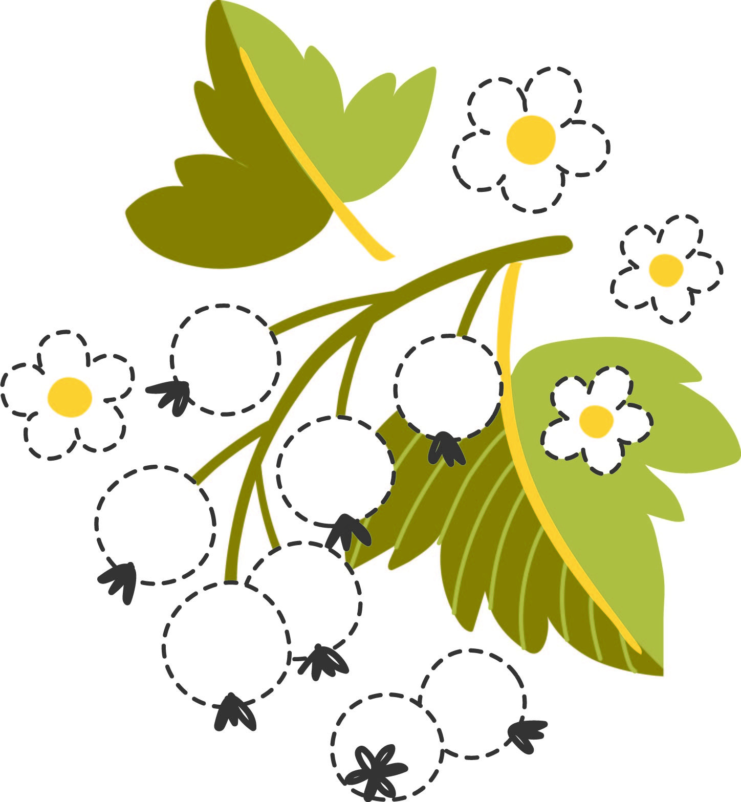 Раскраска для детей: гроздь смородины на ветке с листиками и цветками