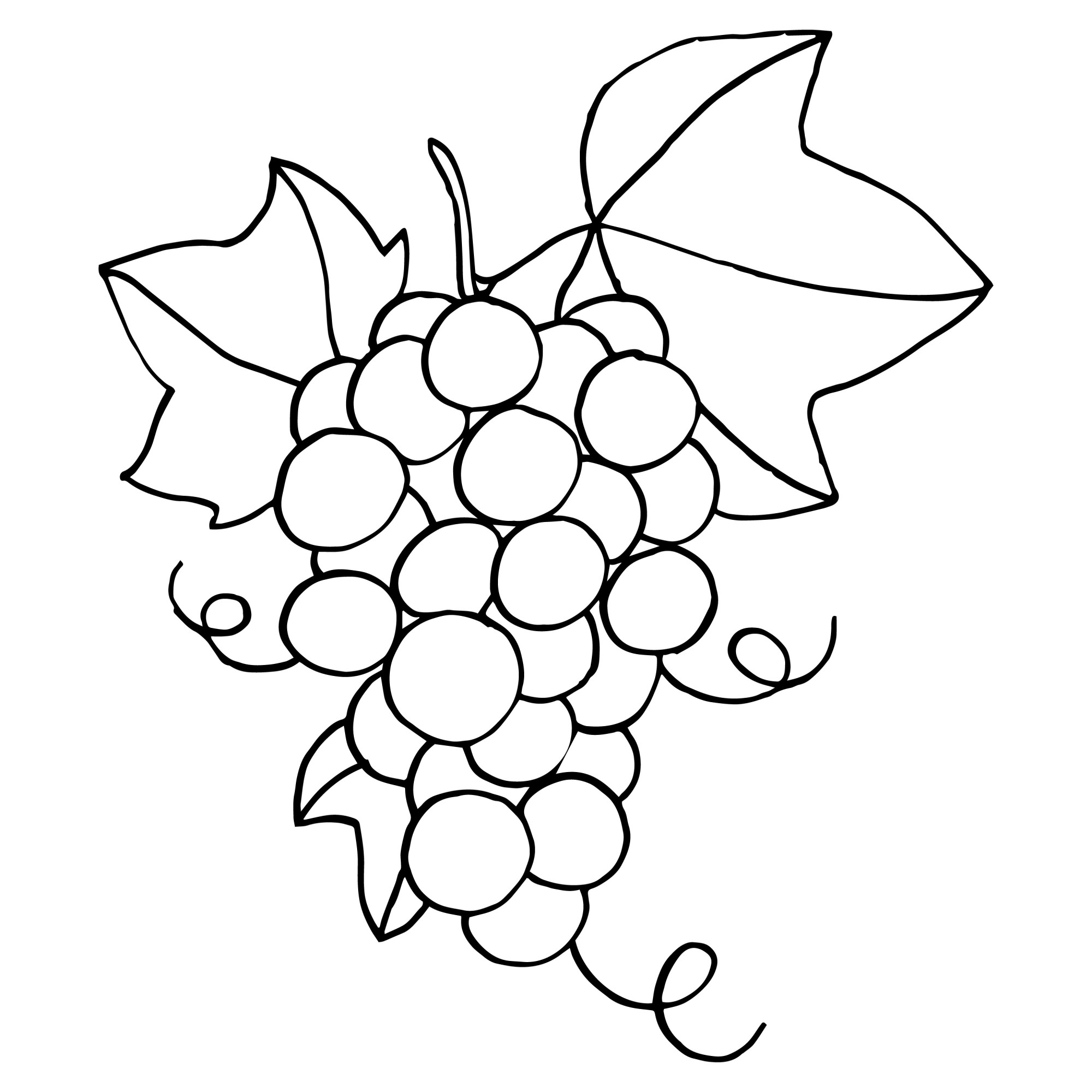 Раскраска для детей: виноградный лист и гроздь сочного винограда