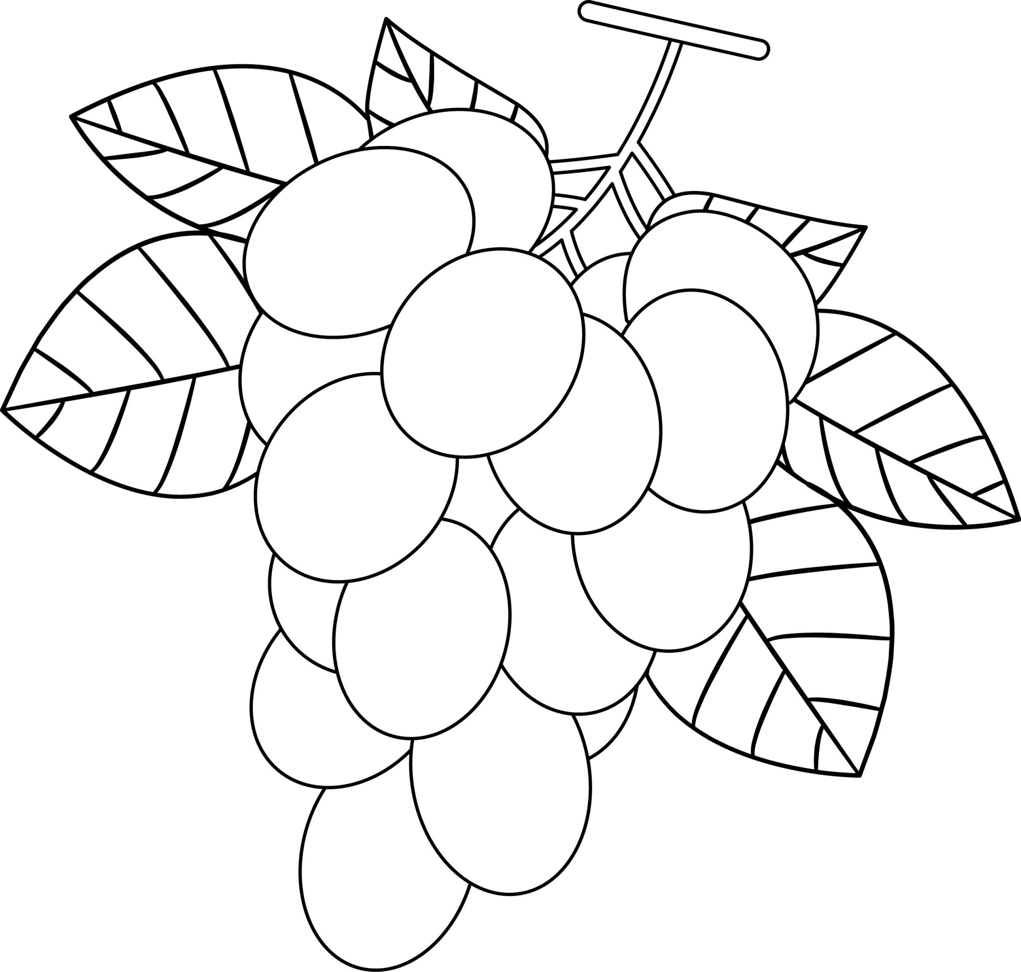 Раскраска для детей: ветка винограда с крупными ягодами