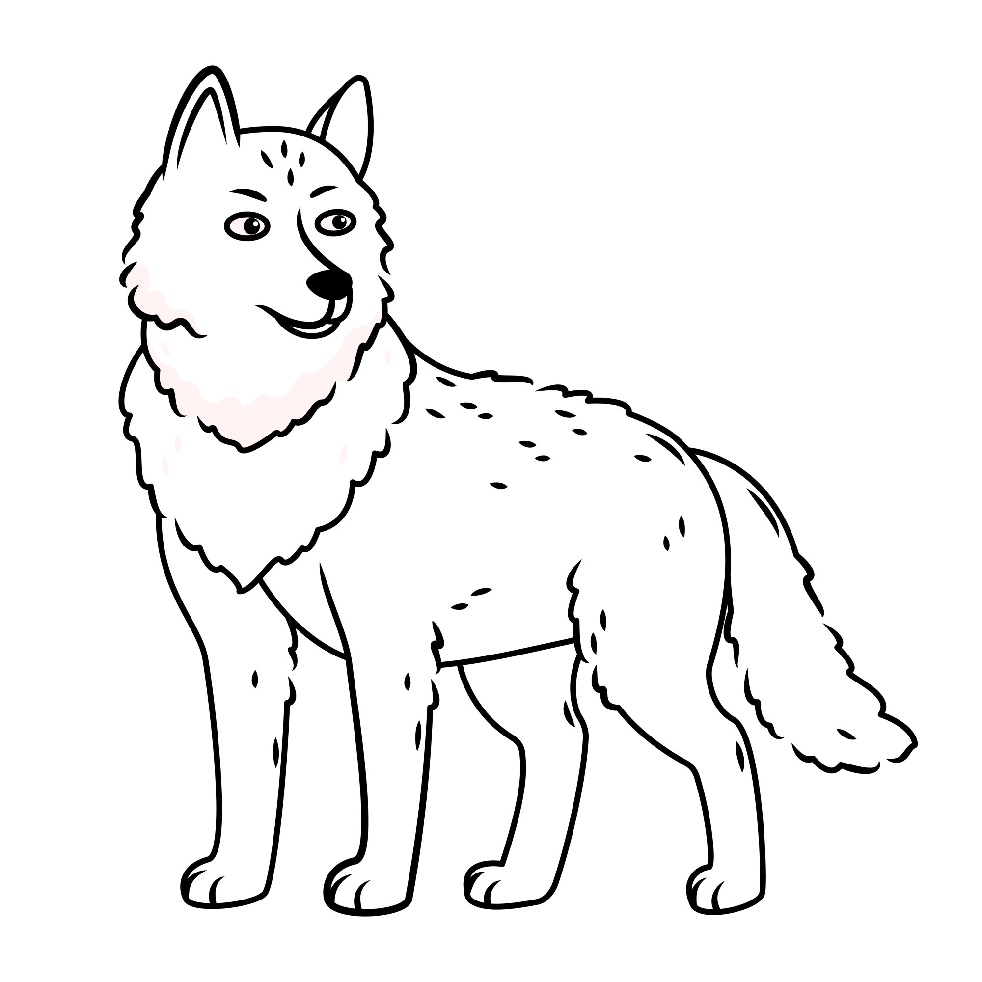 Раскраска для детей: серый волк стоит на белом фоне