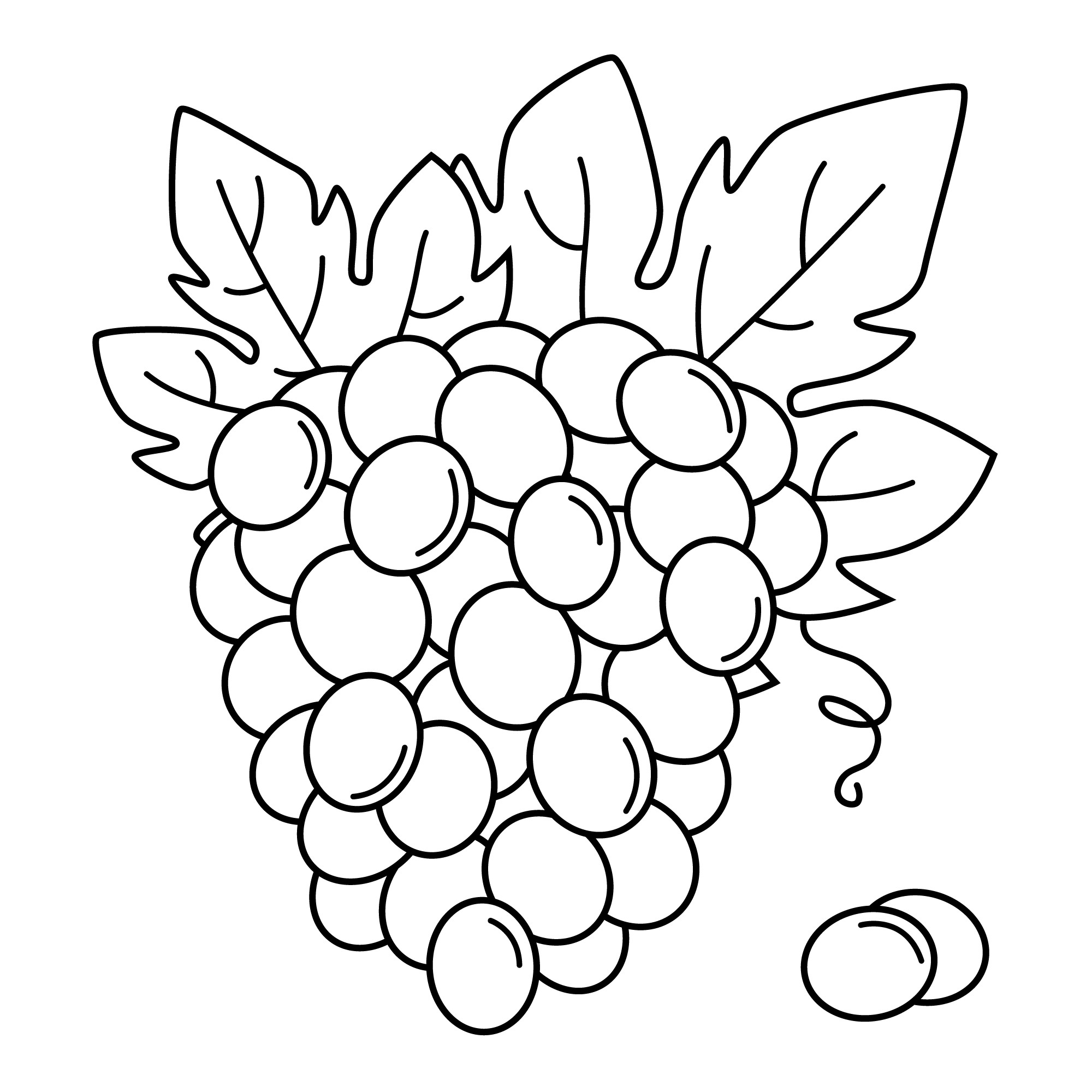 Раскраска для детей: спелая гроздь винограда и две ягодки