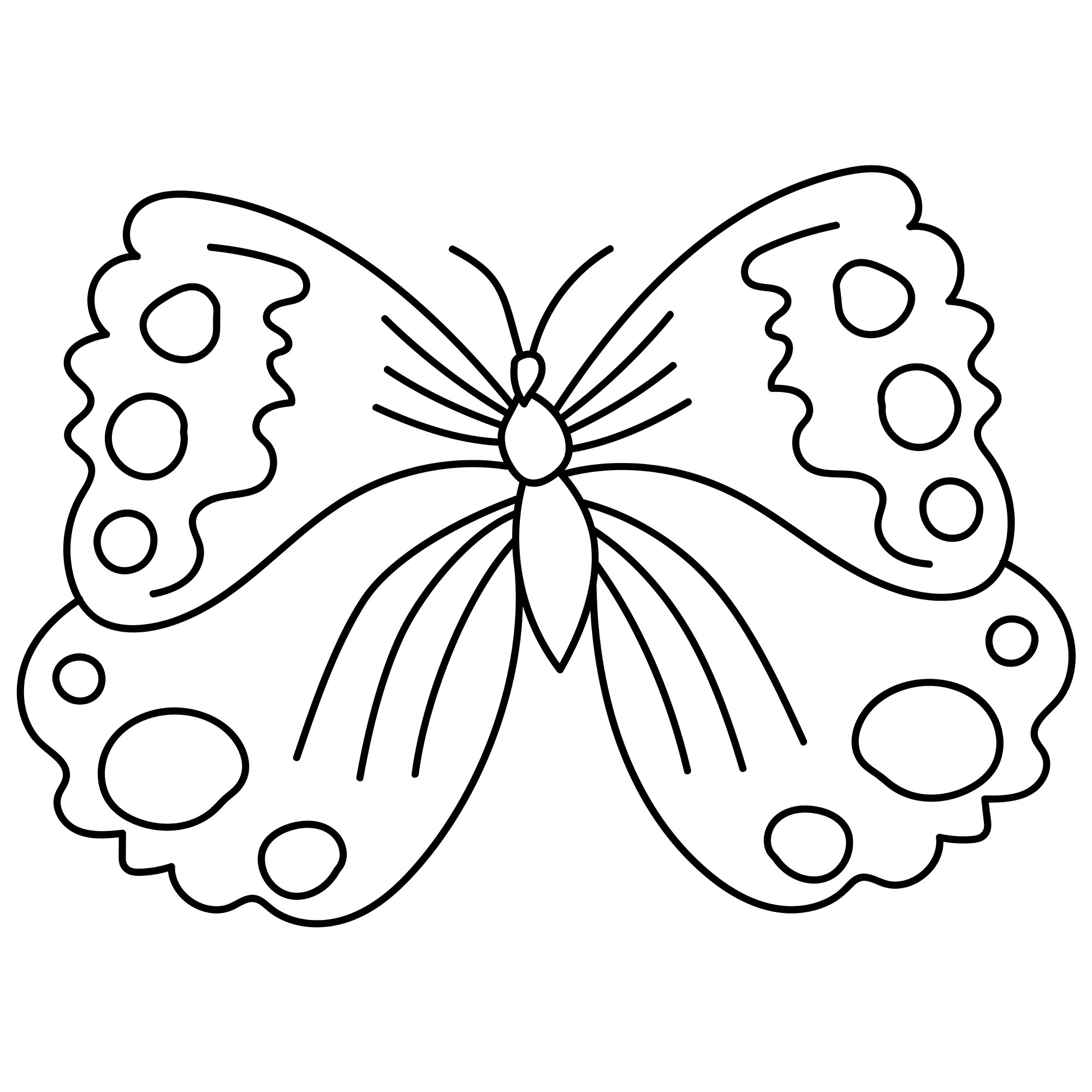 Раскраска для детей: контур бабочка с расправленными крыльями