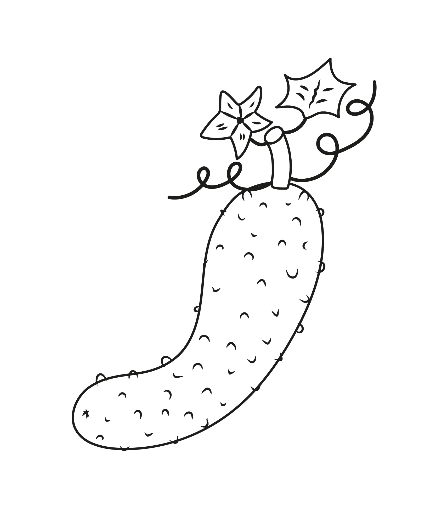 Раскраска для детей: огурец с листьями и усами