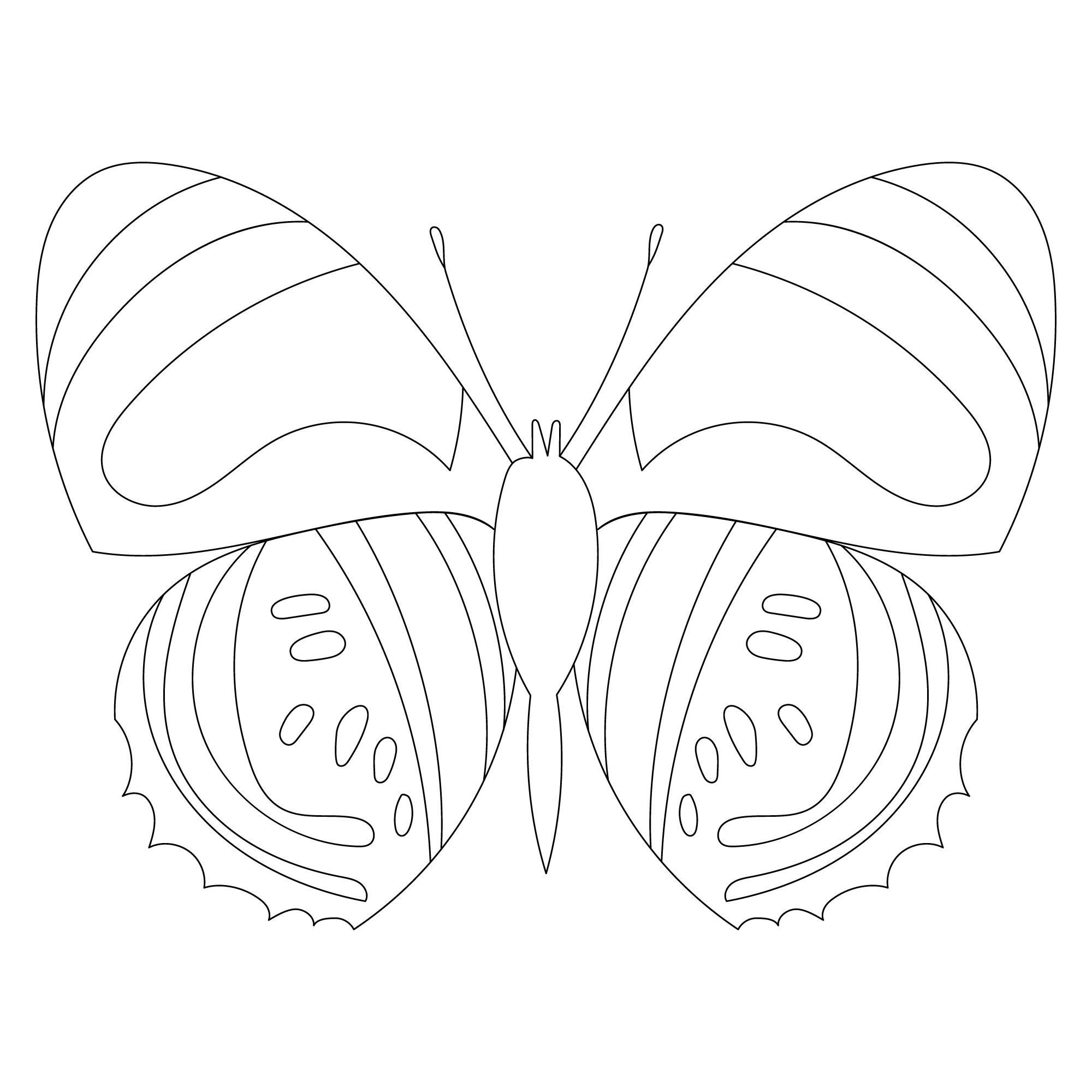 Раскраска для детей: бабочка с полосками на крыльях