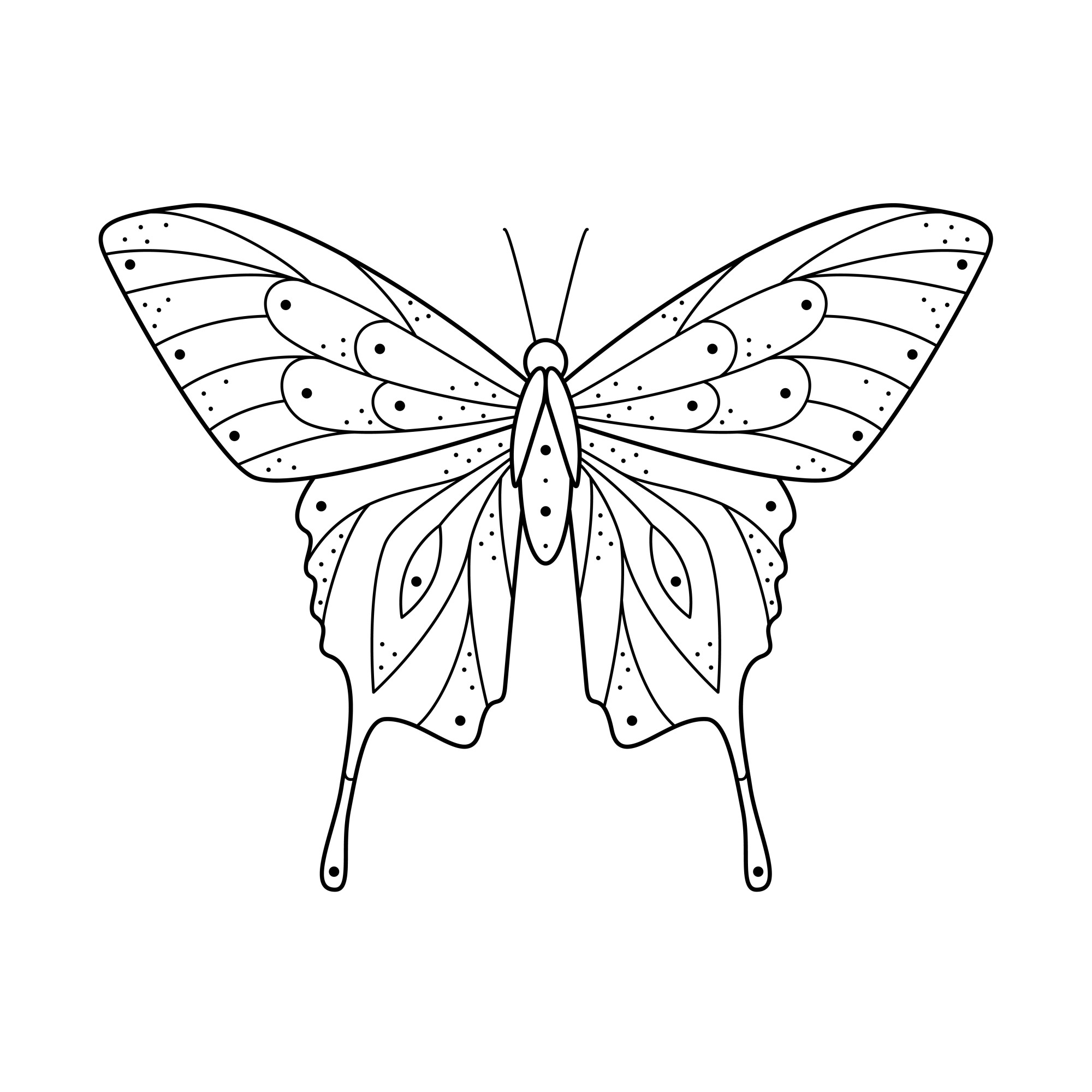 Раскраска для детей: шикарная бабочка