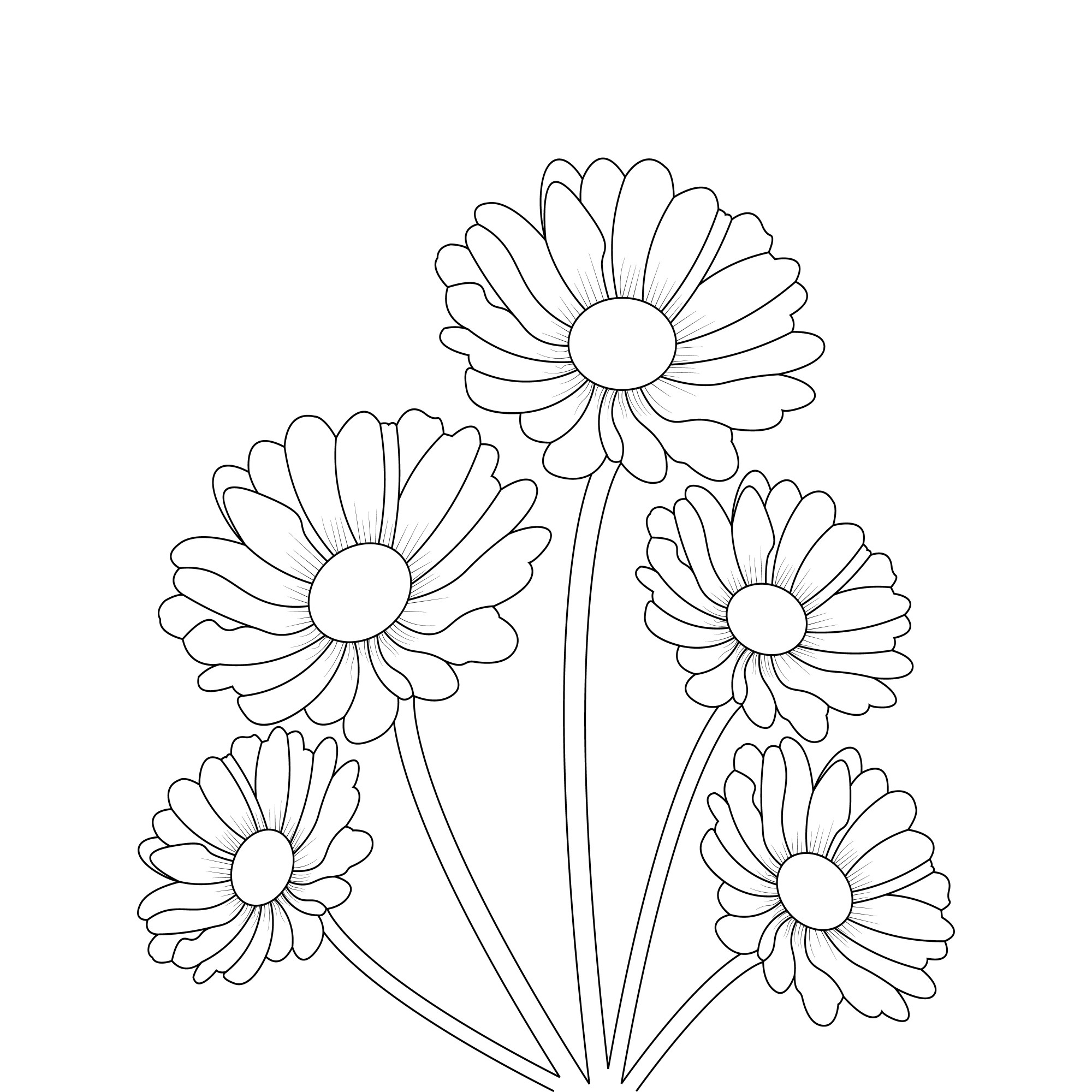 Раскраска для детей: букет из пяти цветов ромашки