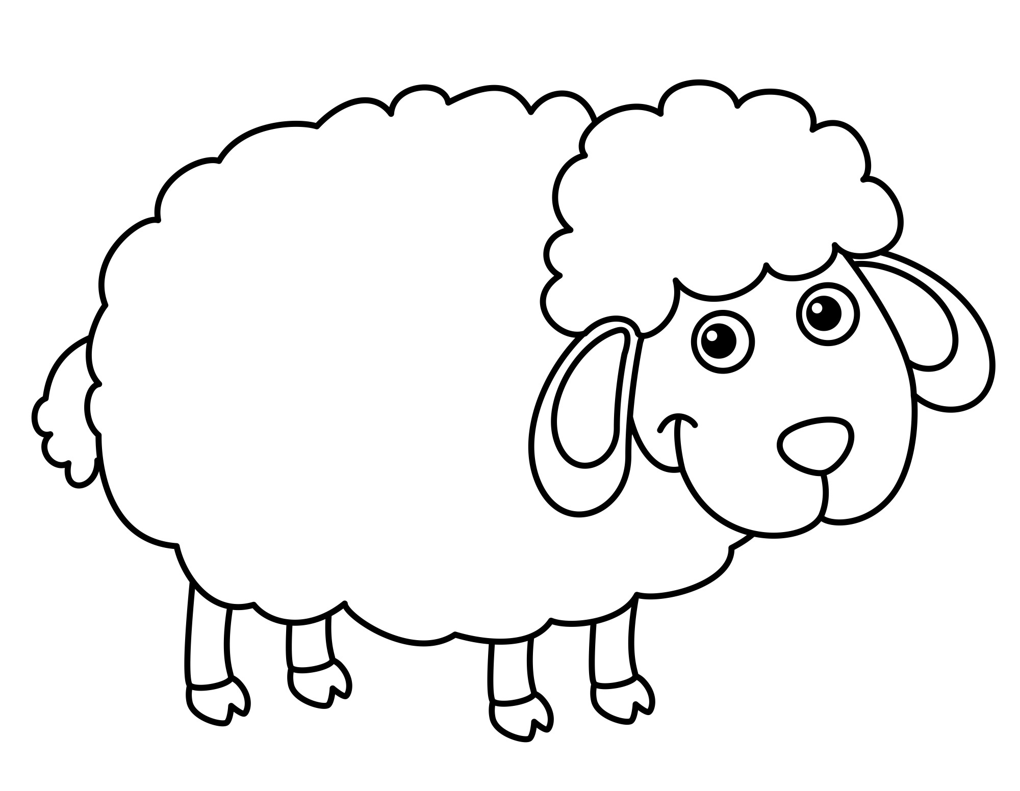 Раскраска для детей: звездная овечка