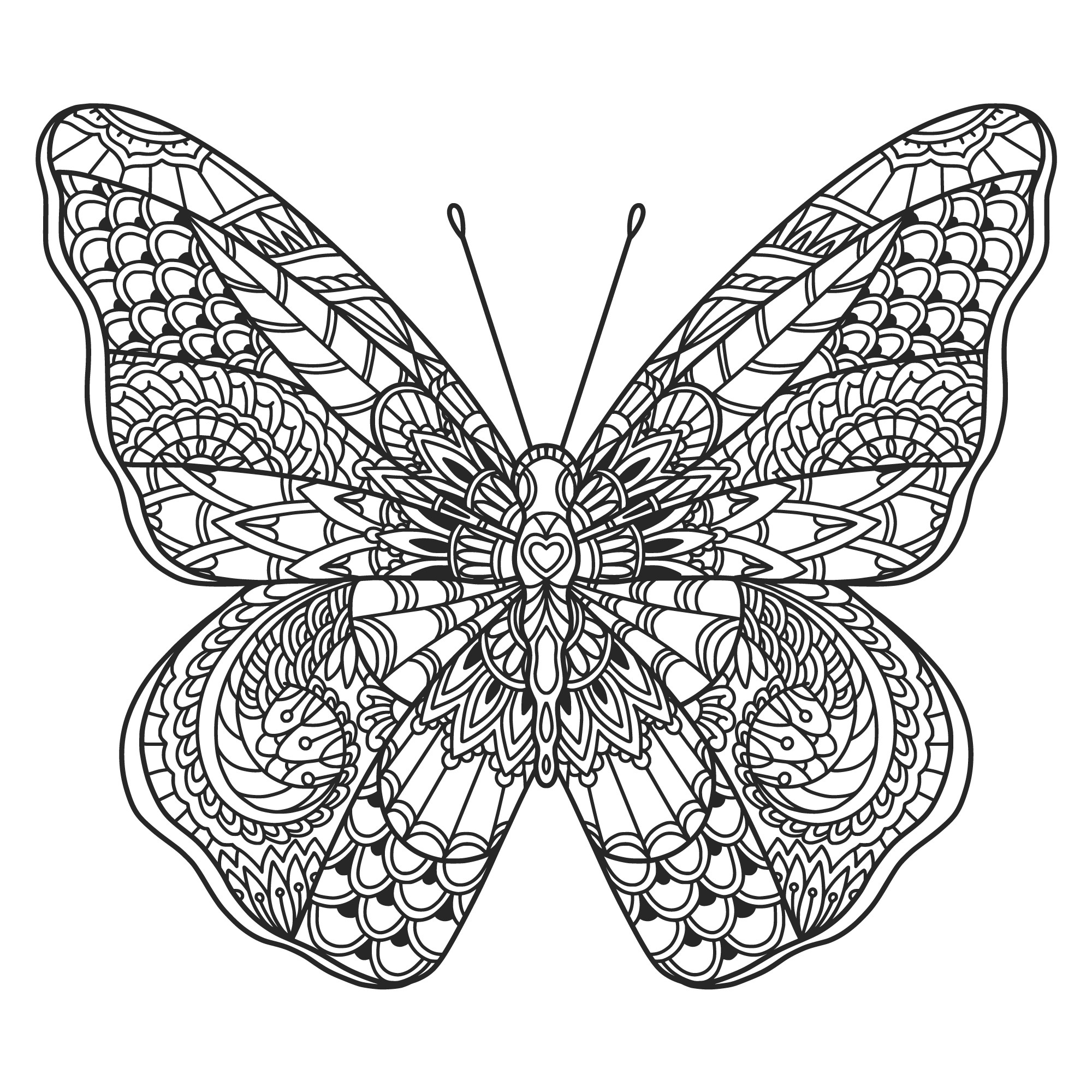 Раскраска для детей: сложная бабочка с ажурными узорами на крыльях
