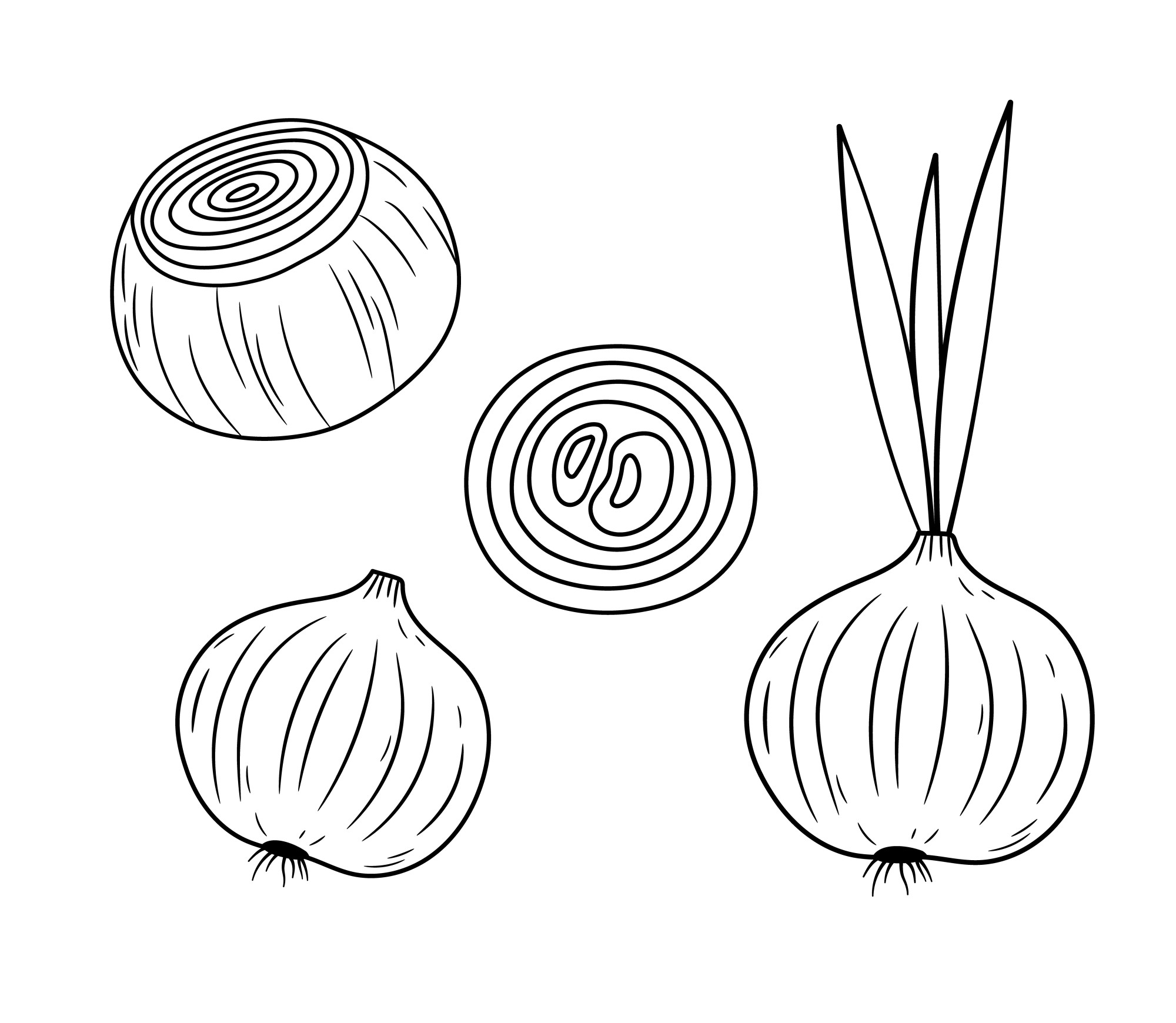 Раскраска для детей: овощная луковица и кольцо свежего очищенного лука