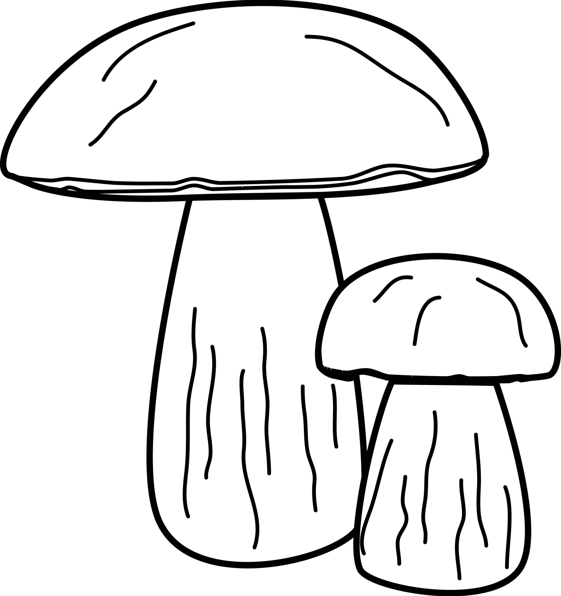 Раскраска для детей: белый гриб