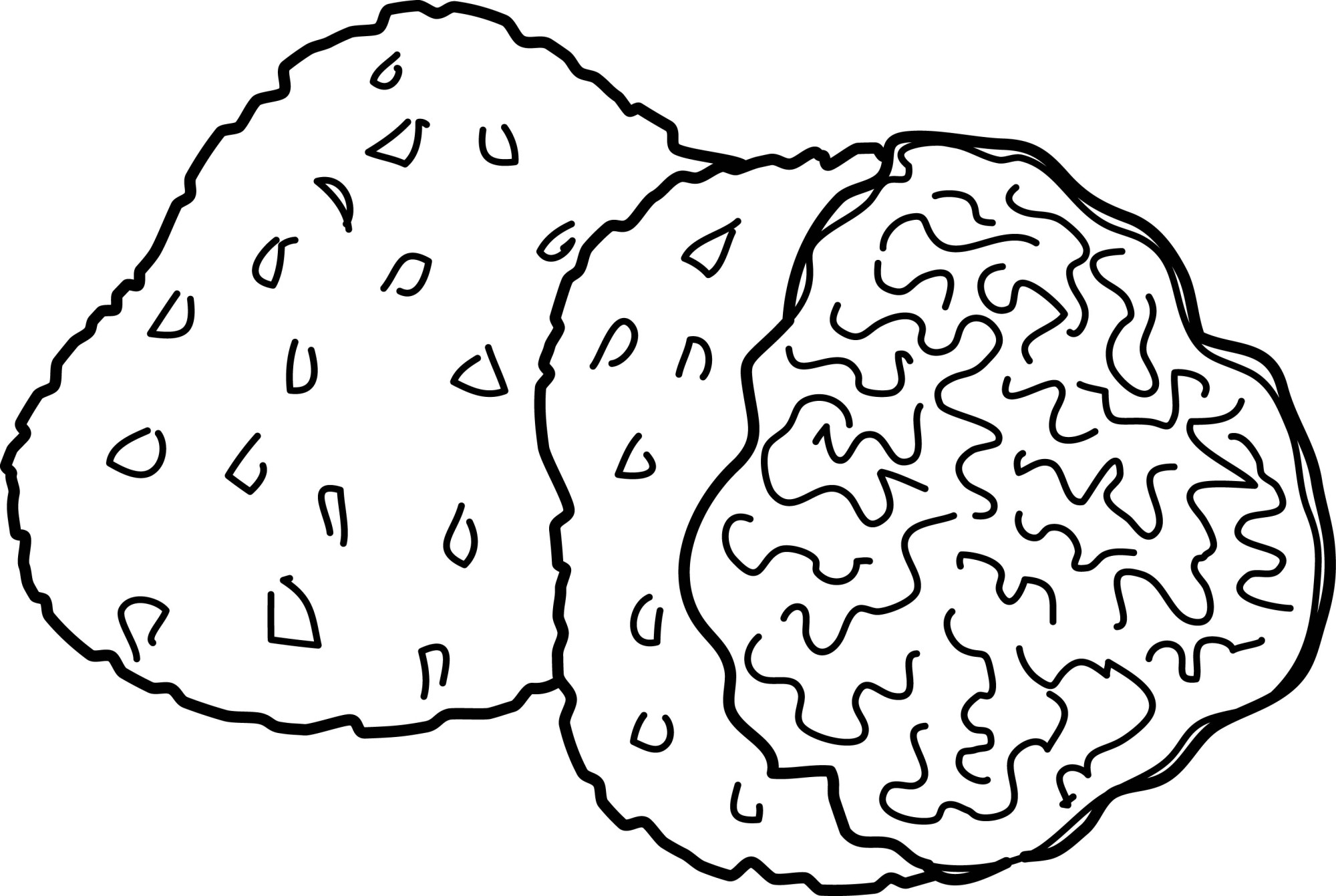 Раскраска для детей: гриб трюфель