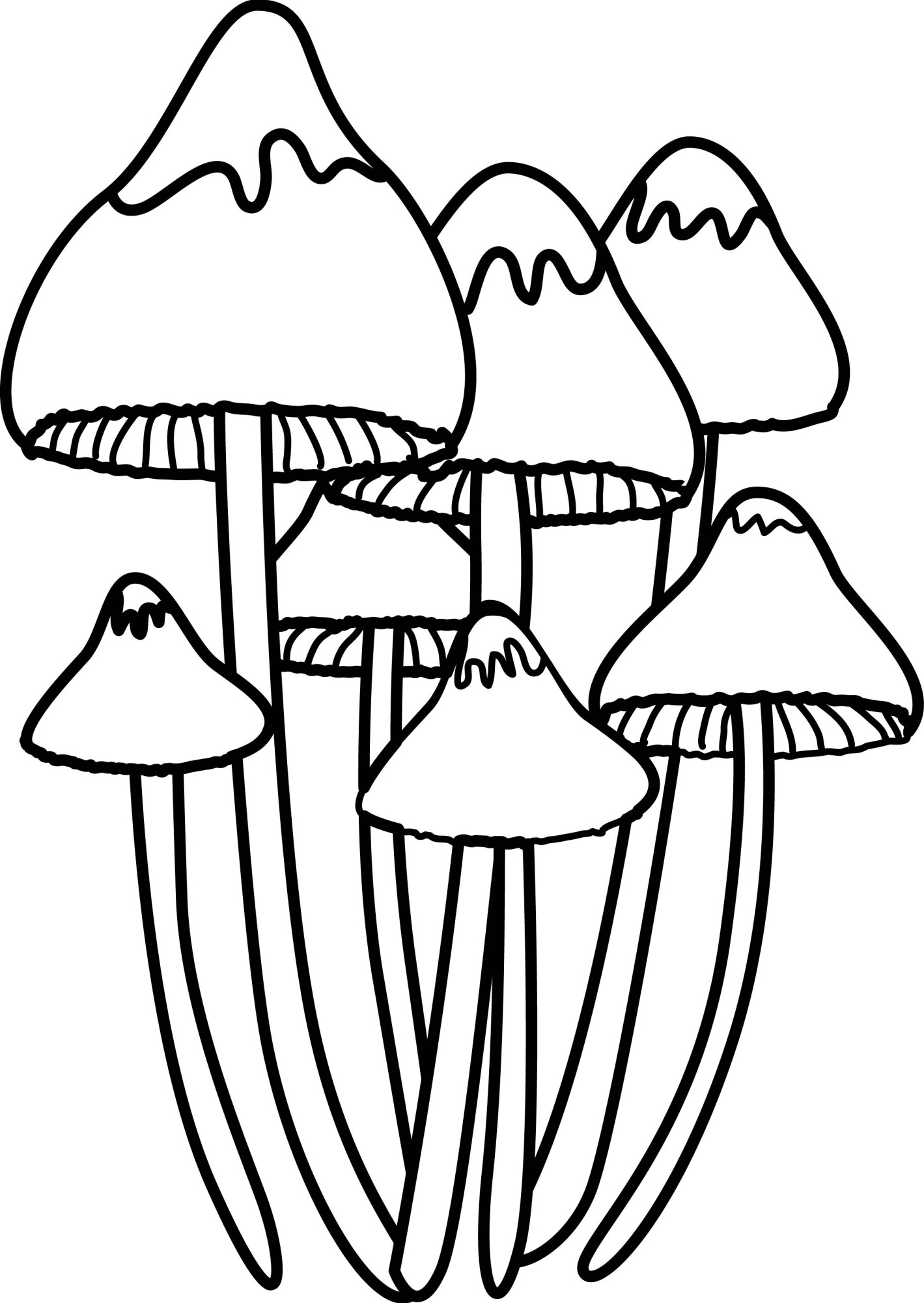 Раскраска для детей: поганка гриб