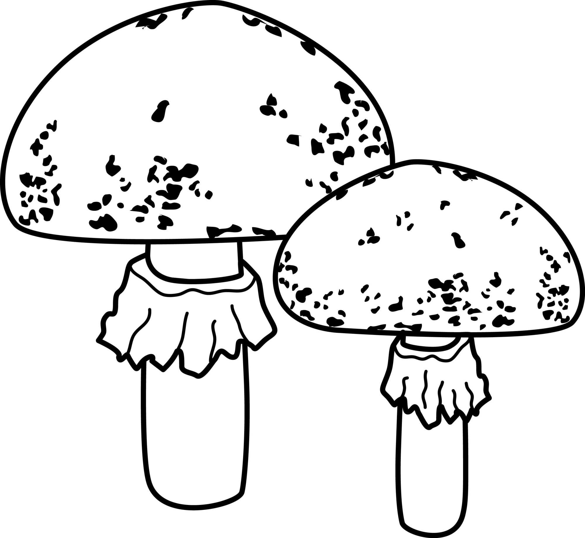 Раскраска для детей: два гриба мухомора