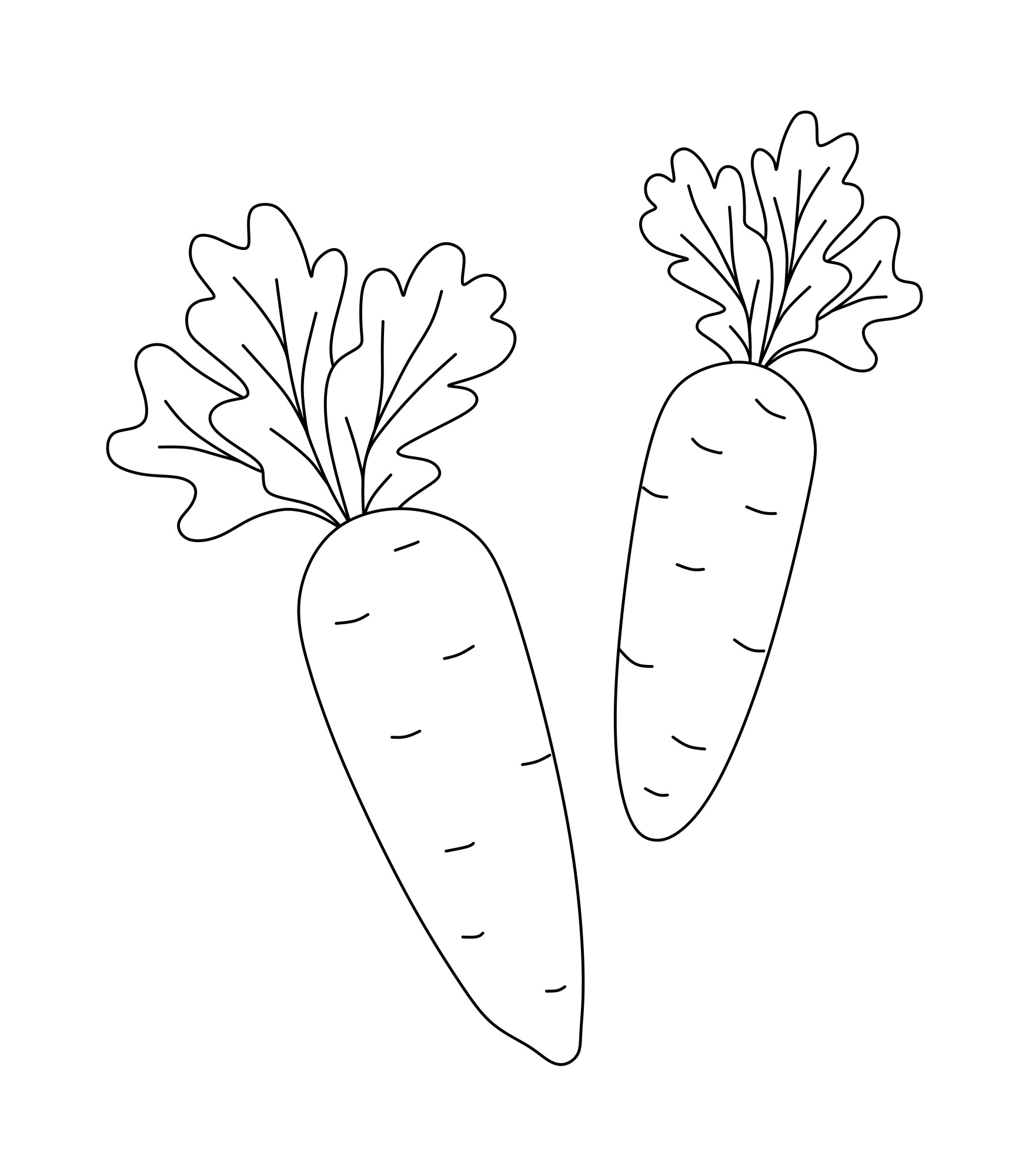 Раскраска для детей: две морковки с ботвой