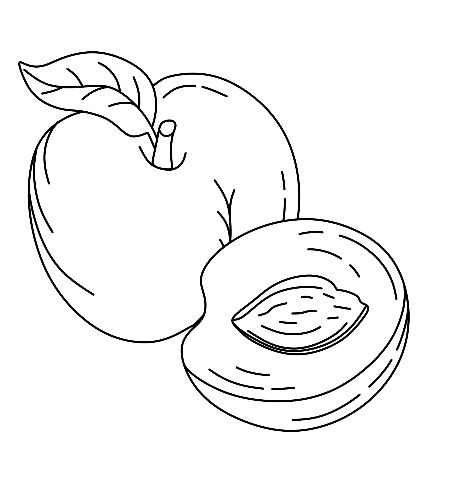 Раскраска для детей: персик с половинкой и косточкой