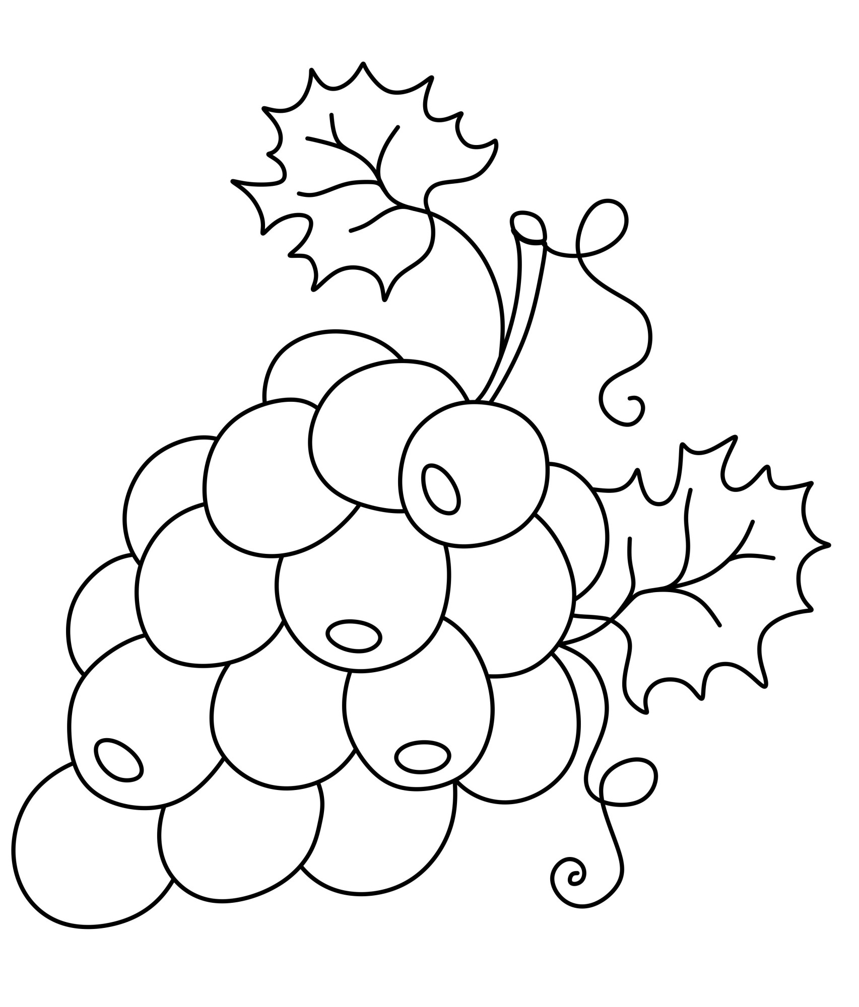 Раскраска для детей: фермерская виноградная гроздь