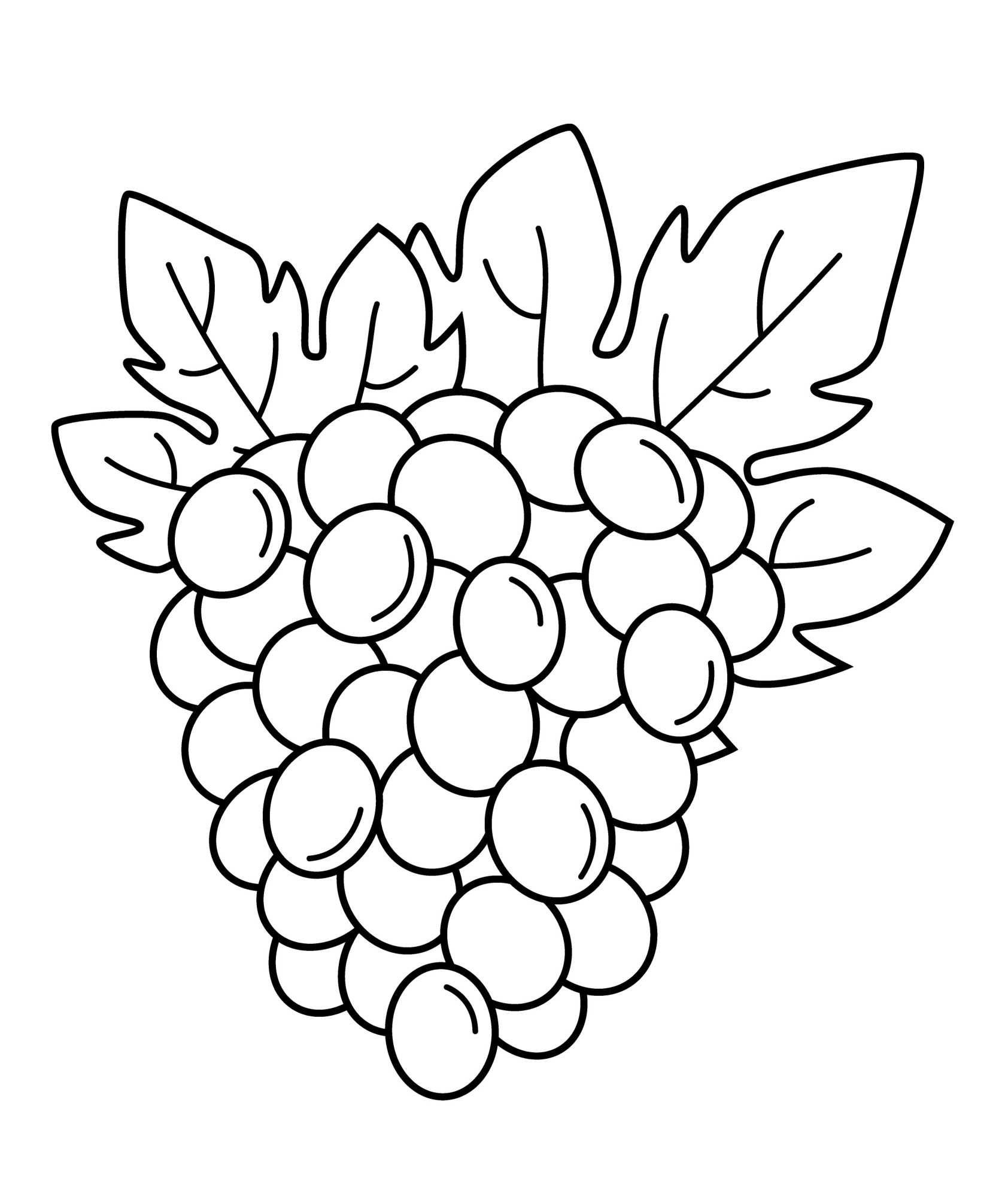 Раскраска для детей: гроздь винограда