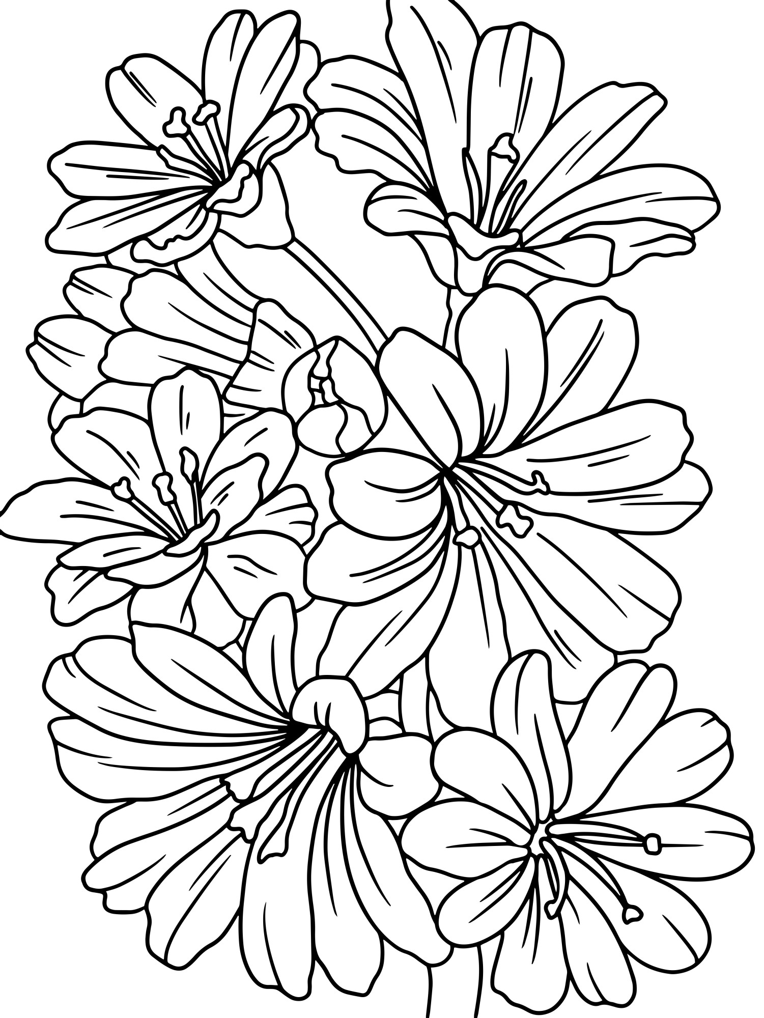 Раскраска для детей: цветок анемона