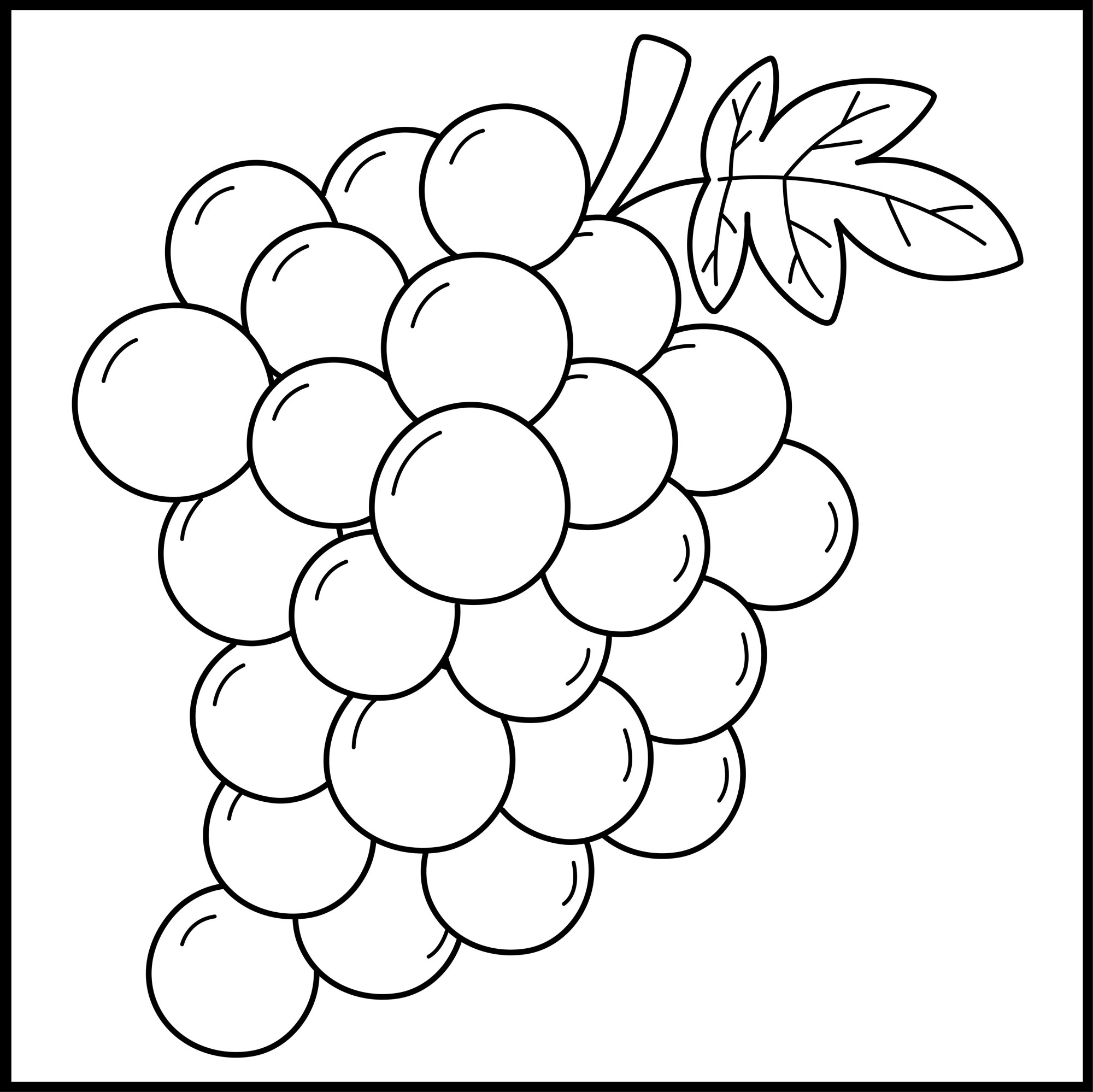 Раскраска для детей: ягоды винограда на ветке