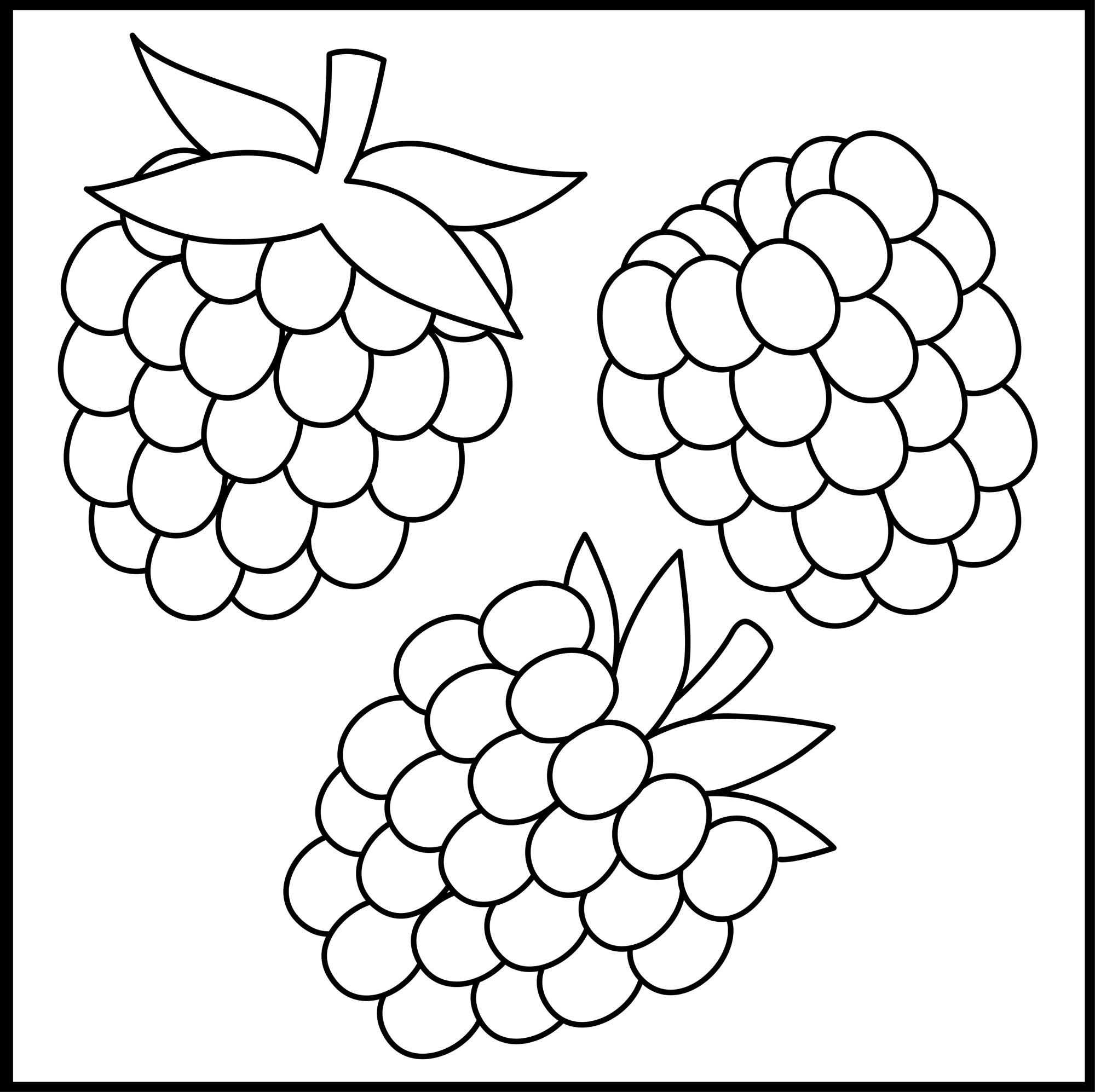 Раскраска для детей: три ягоды малины