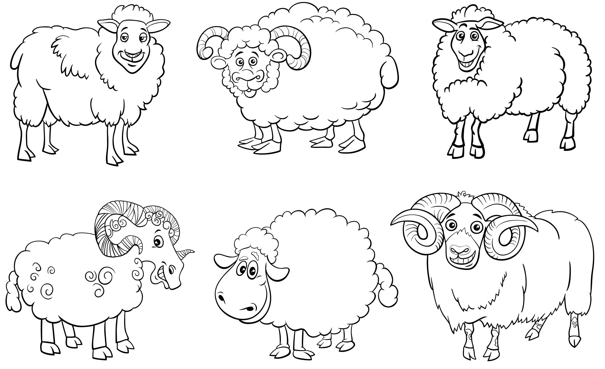 Раскраска для детей: стадо овец и баранов на ферме