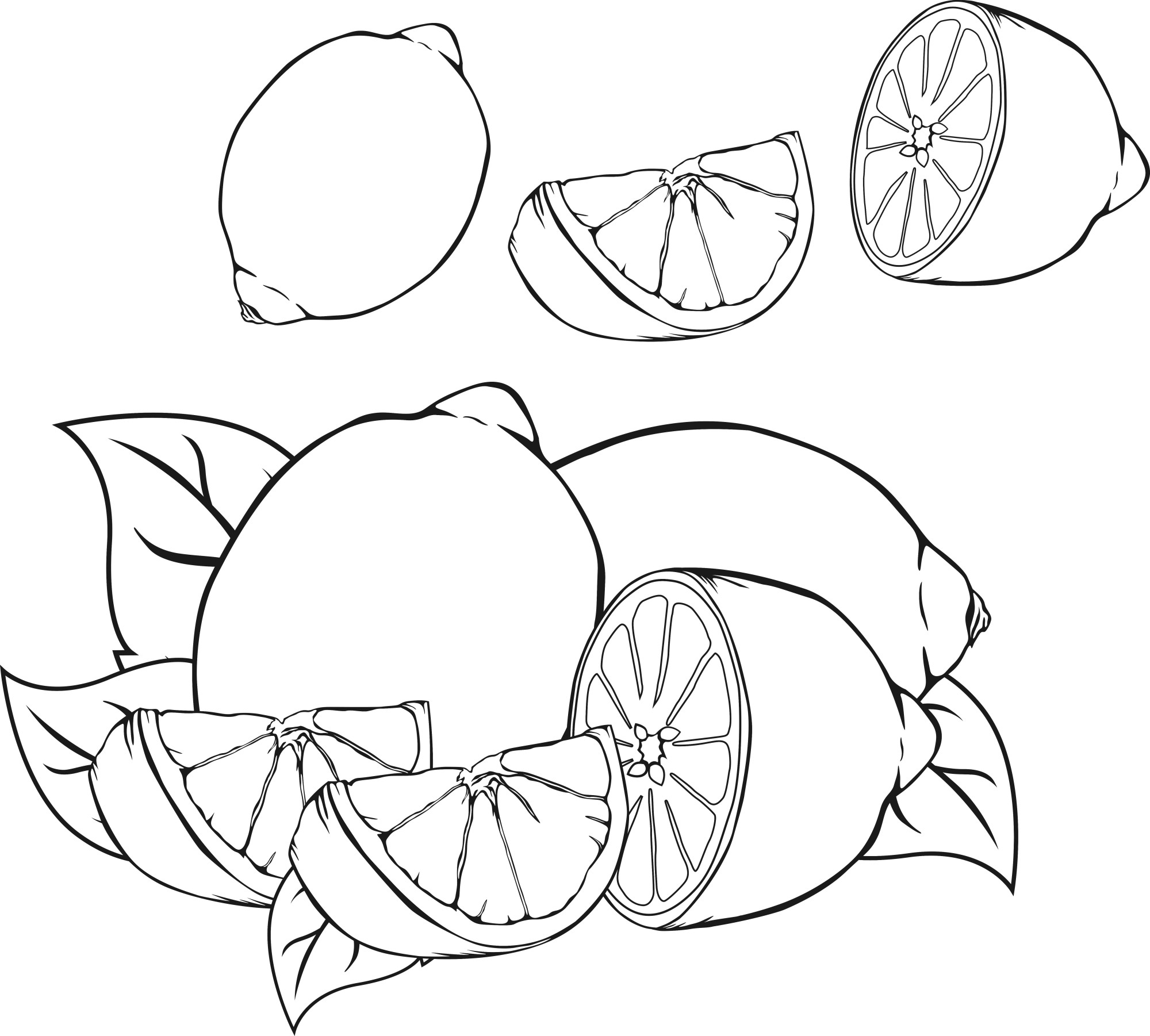 Раскраска для детей: лимоны с половинками дольками и листьями