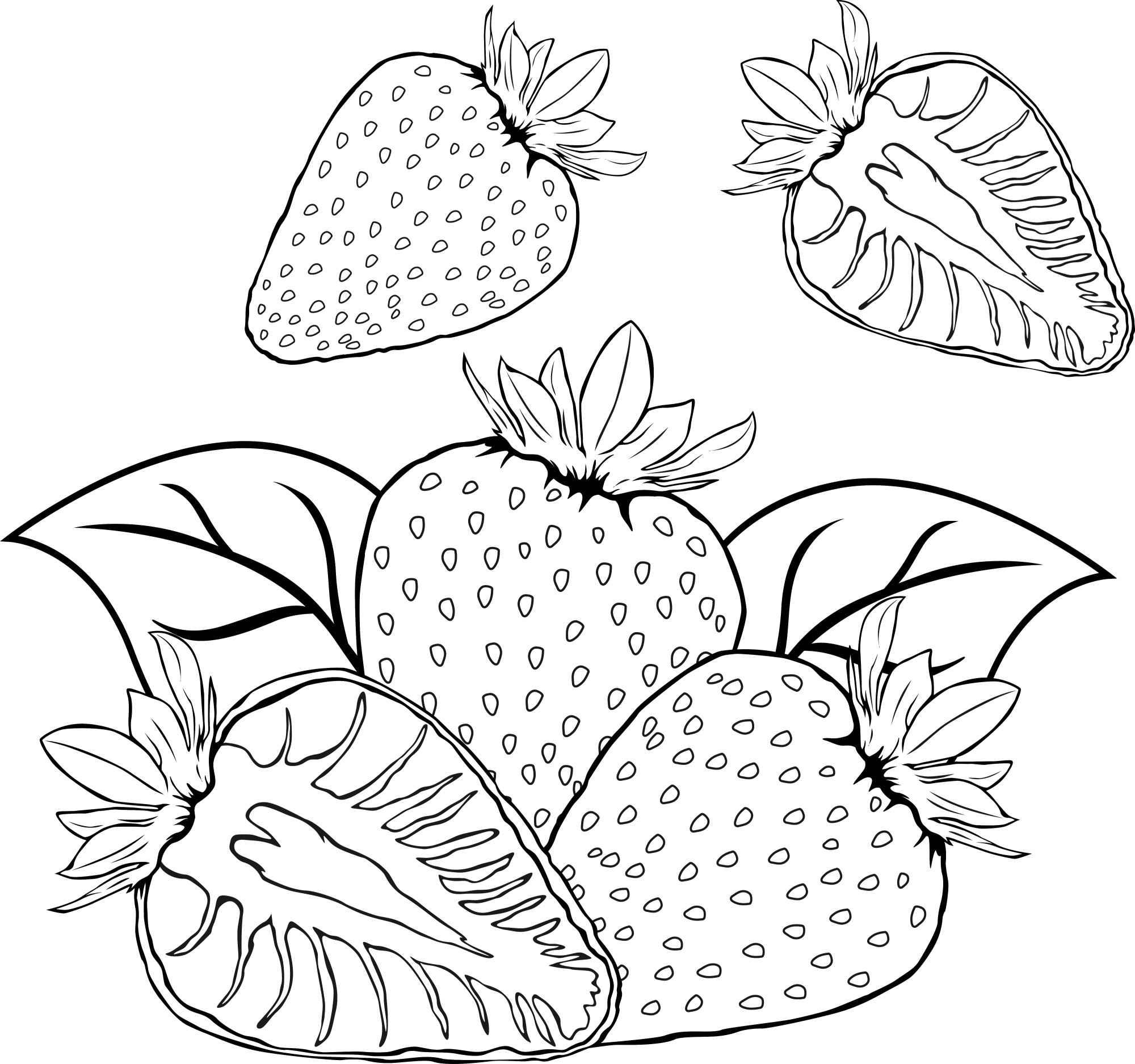Раскраска для детей: спелая клубника с листьями