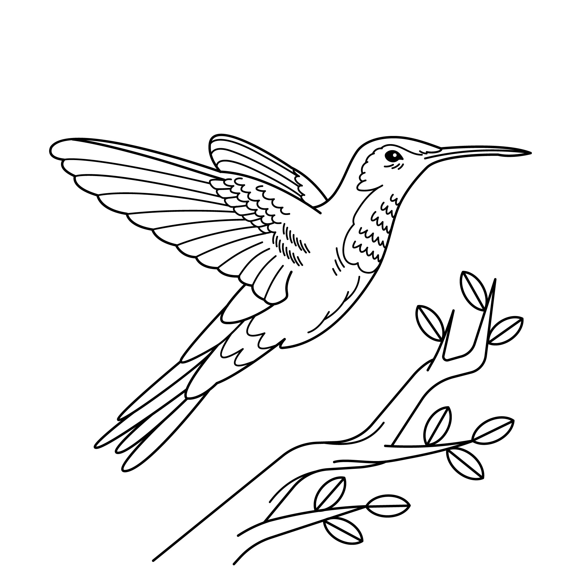 Раскраска для детей: птичка колибри в полете над веткой