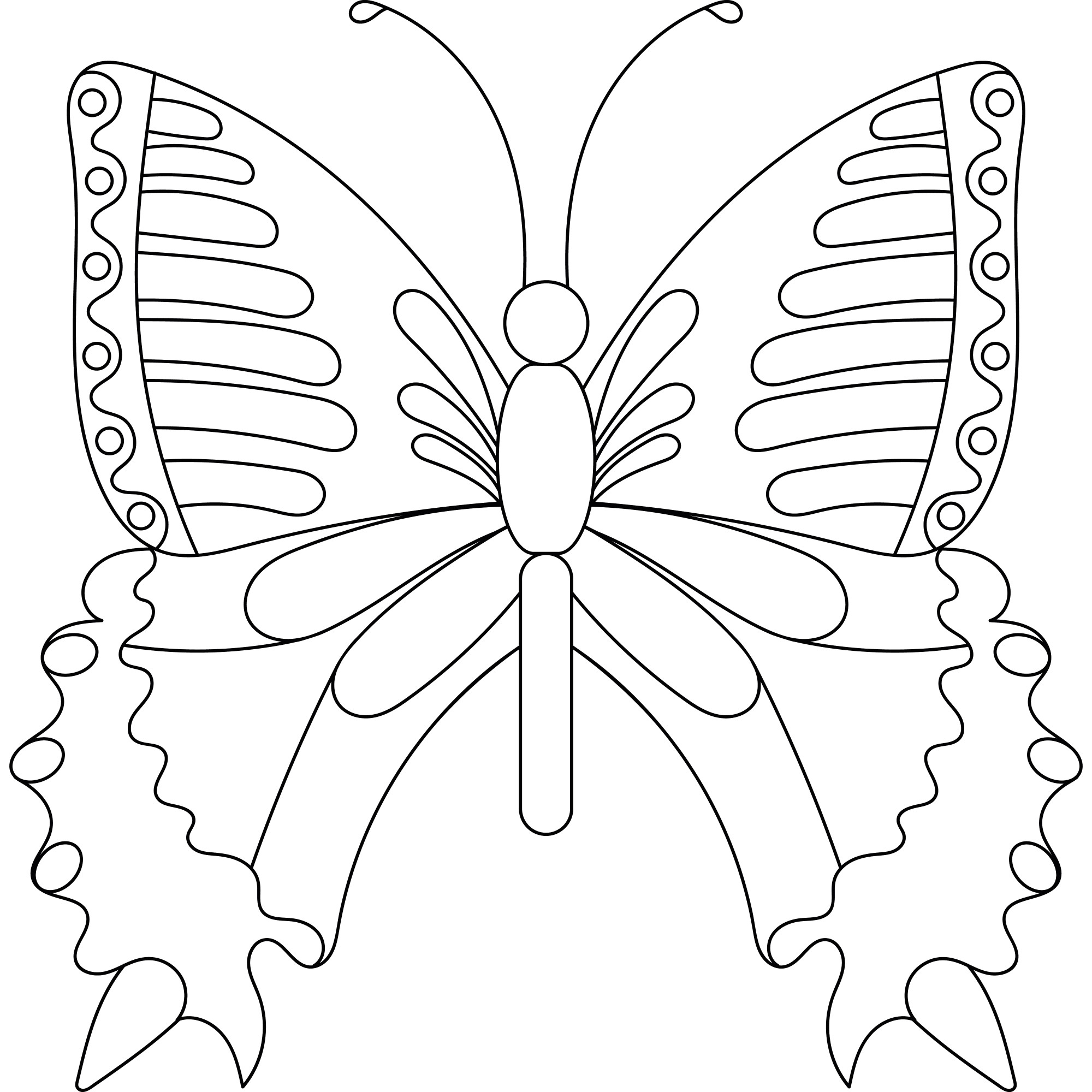 Раскраска для детей: изящная бабочка