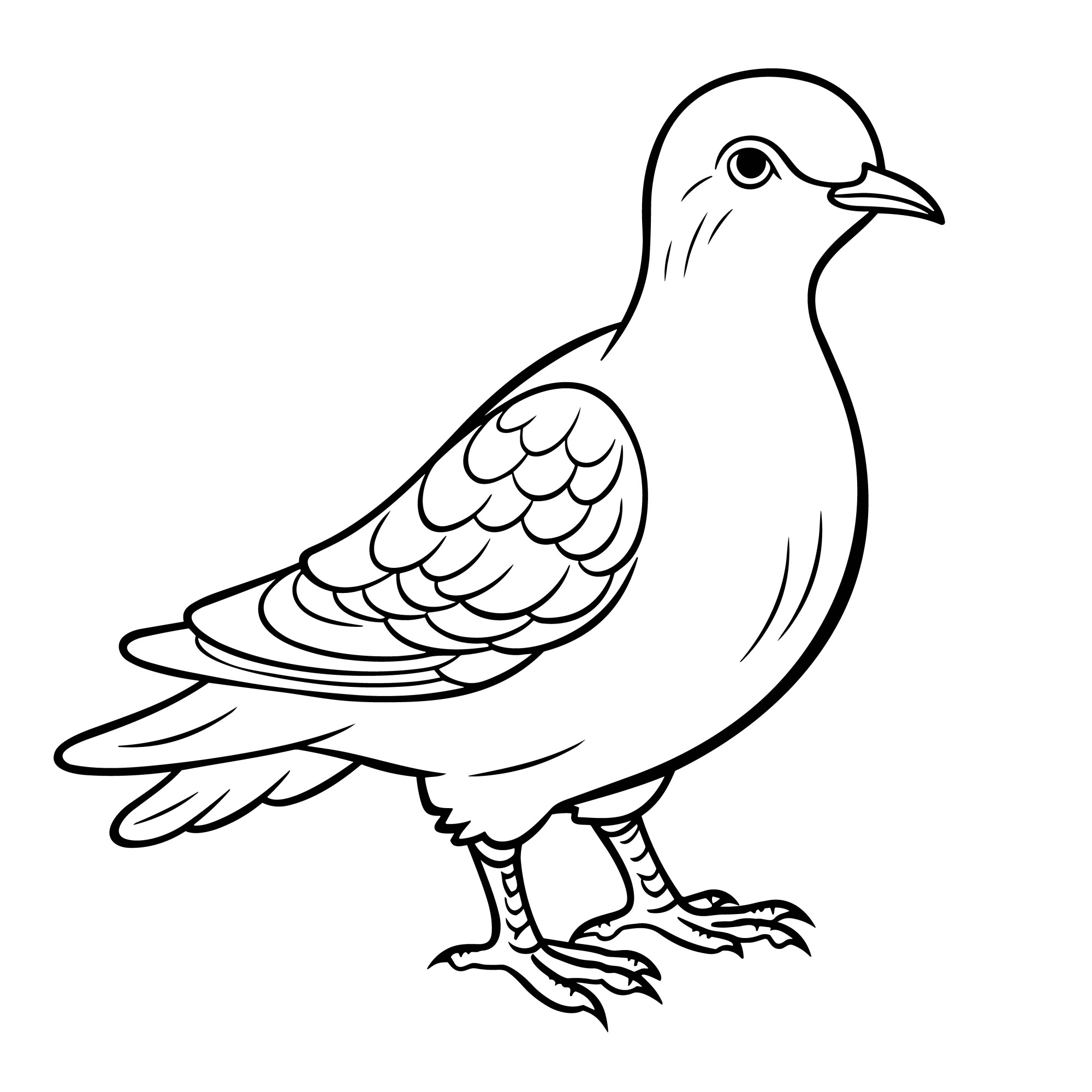 Раскраска для детей: птица голубь