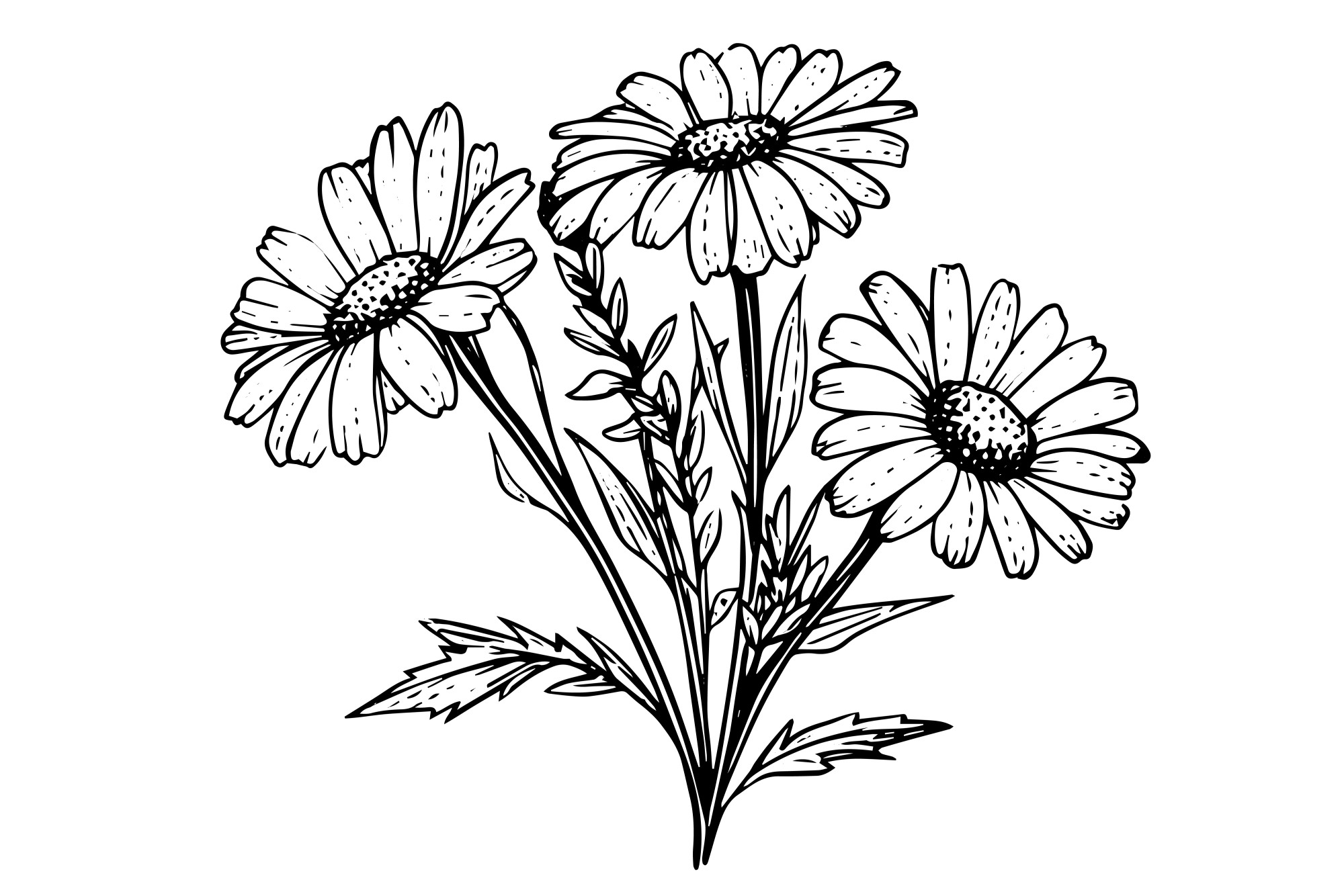 Раскраска для детей: цветы ромашки на лугу