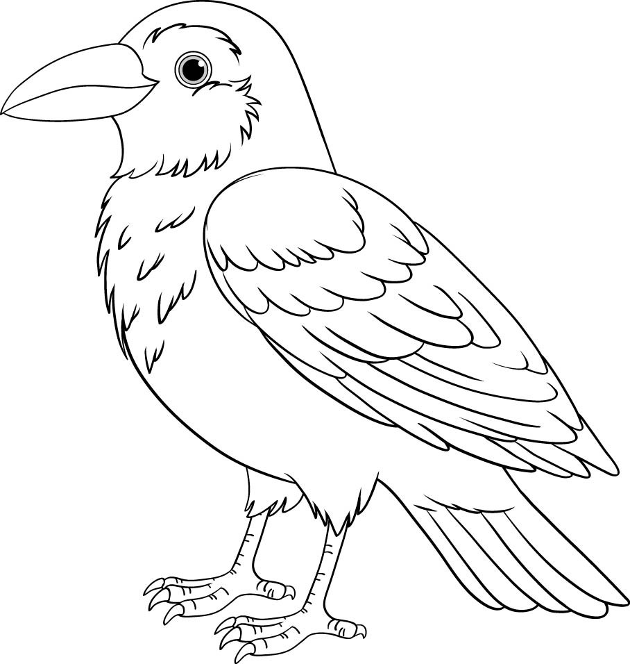 Раскраска для детей: мультяшная птица ворона
