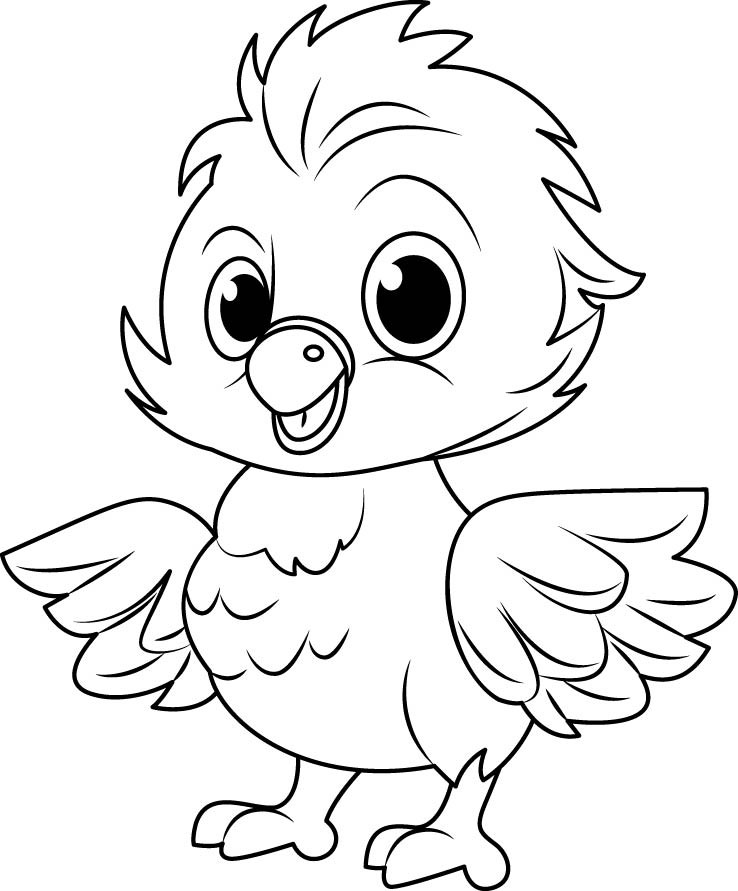 Раскраска для детей: птица маленький цыплёнок